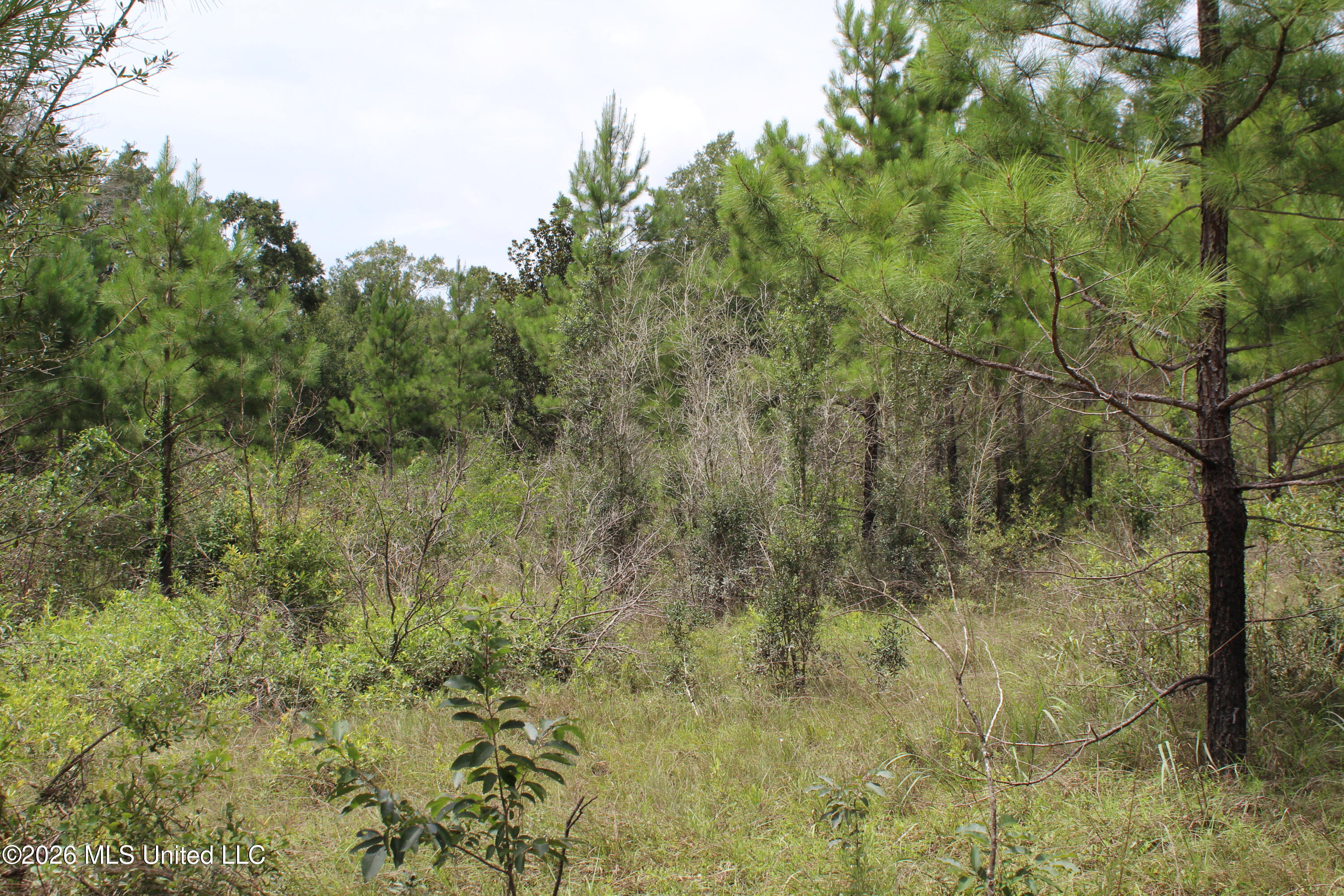 Agricola Latonia Road Property Photo 15