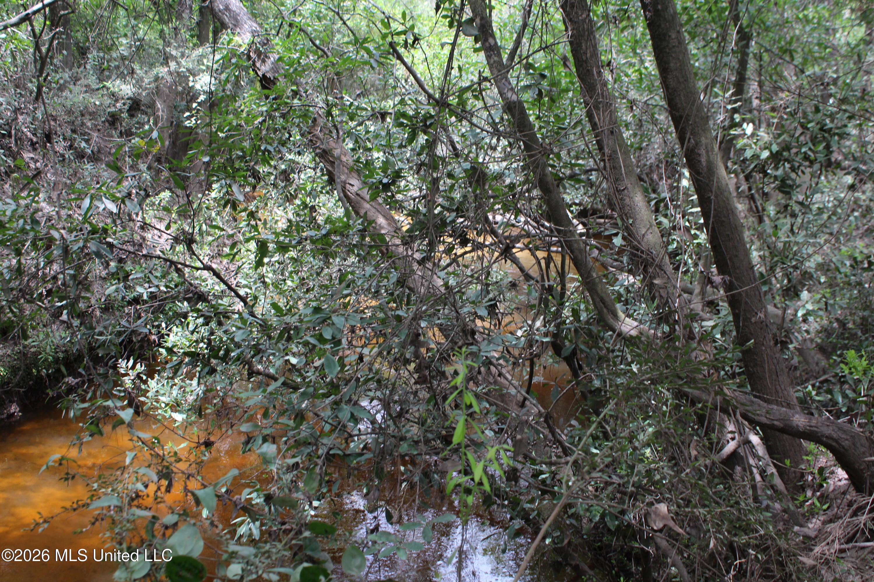 Agricola Latonia Road Property Photo 16