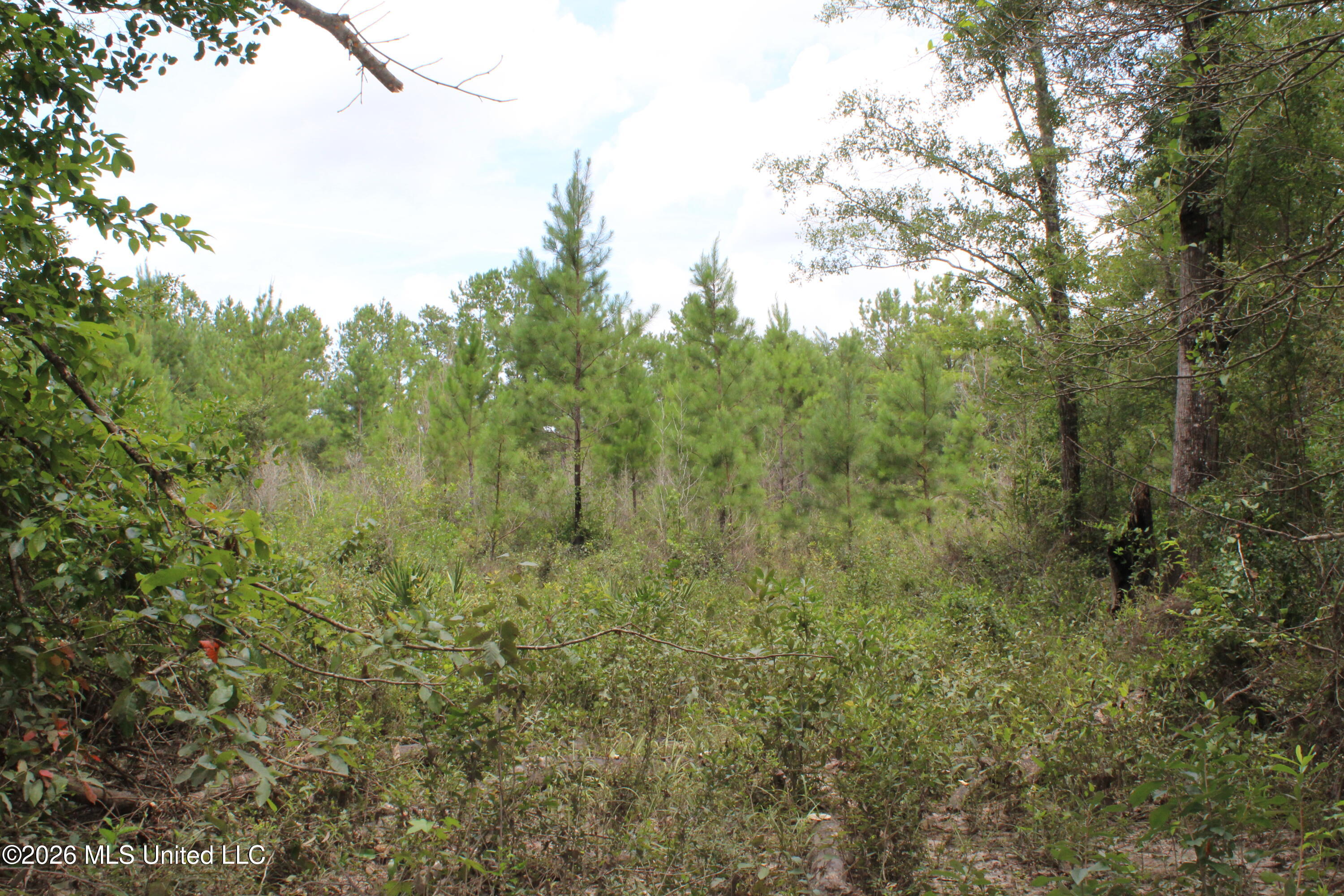 Agricola Latonia Road Property Photo 17