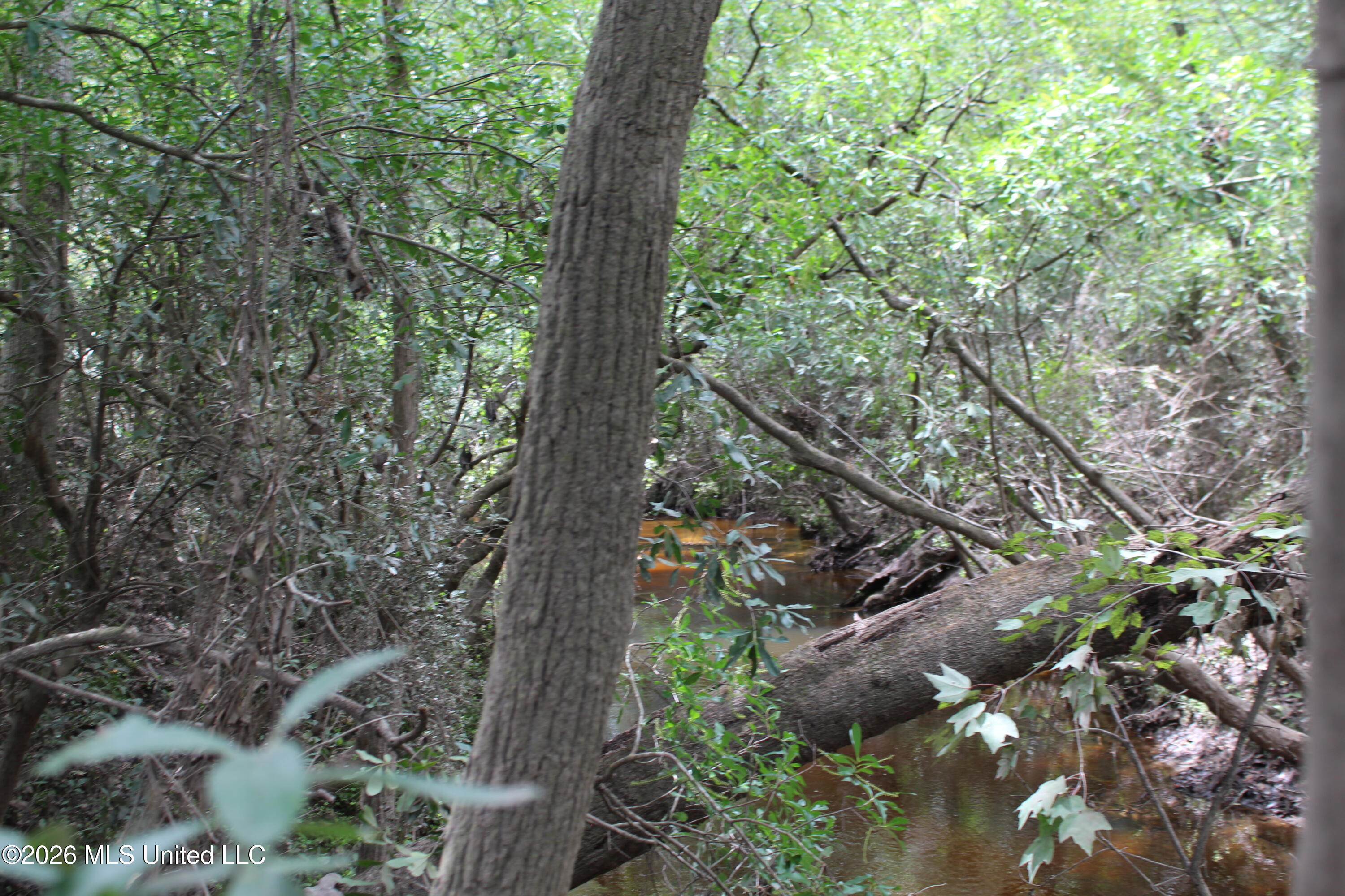 Agricola Latonia Road Property Photo 18