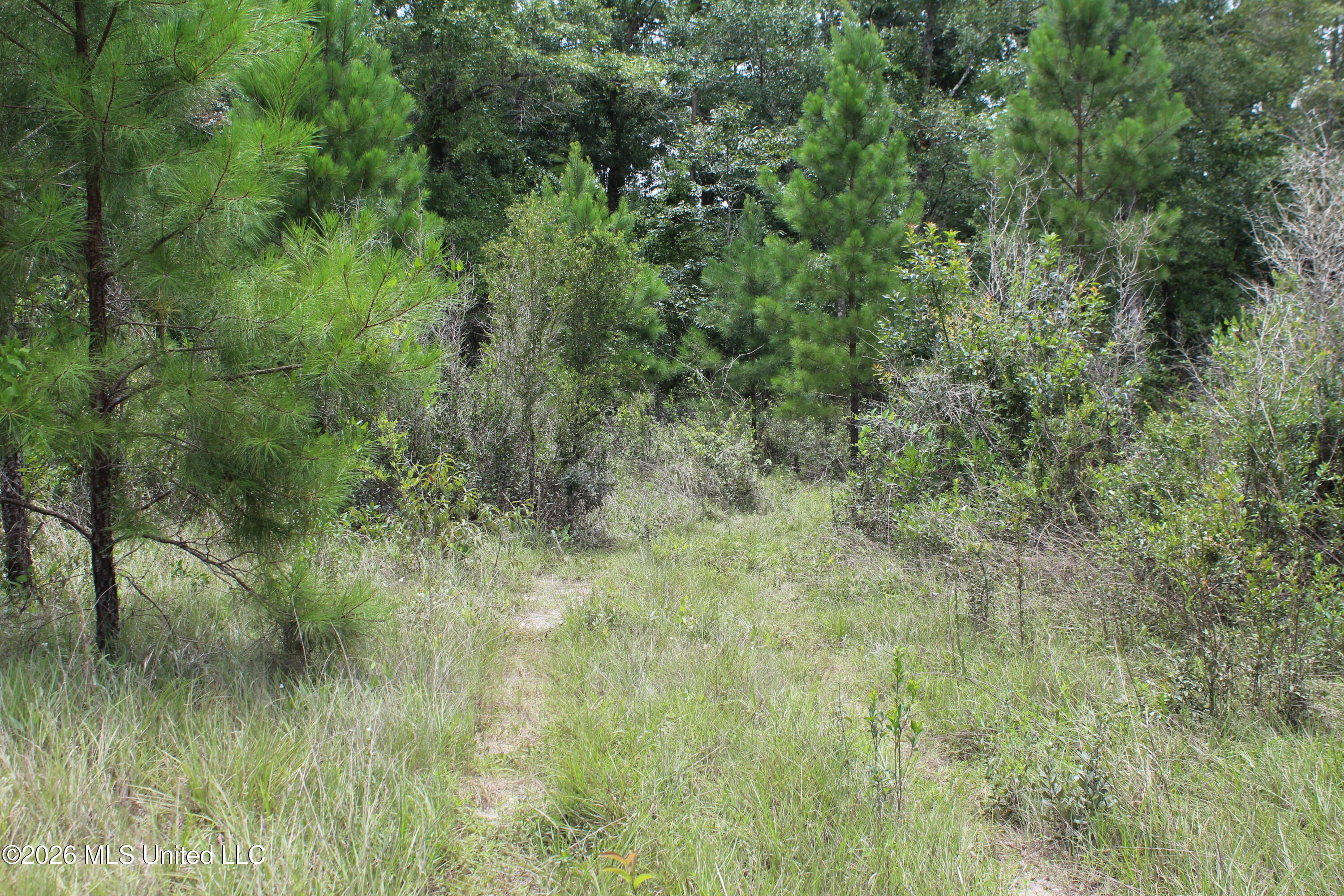 Agricola Latonia Road Property Photo 19