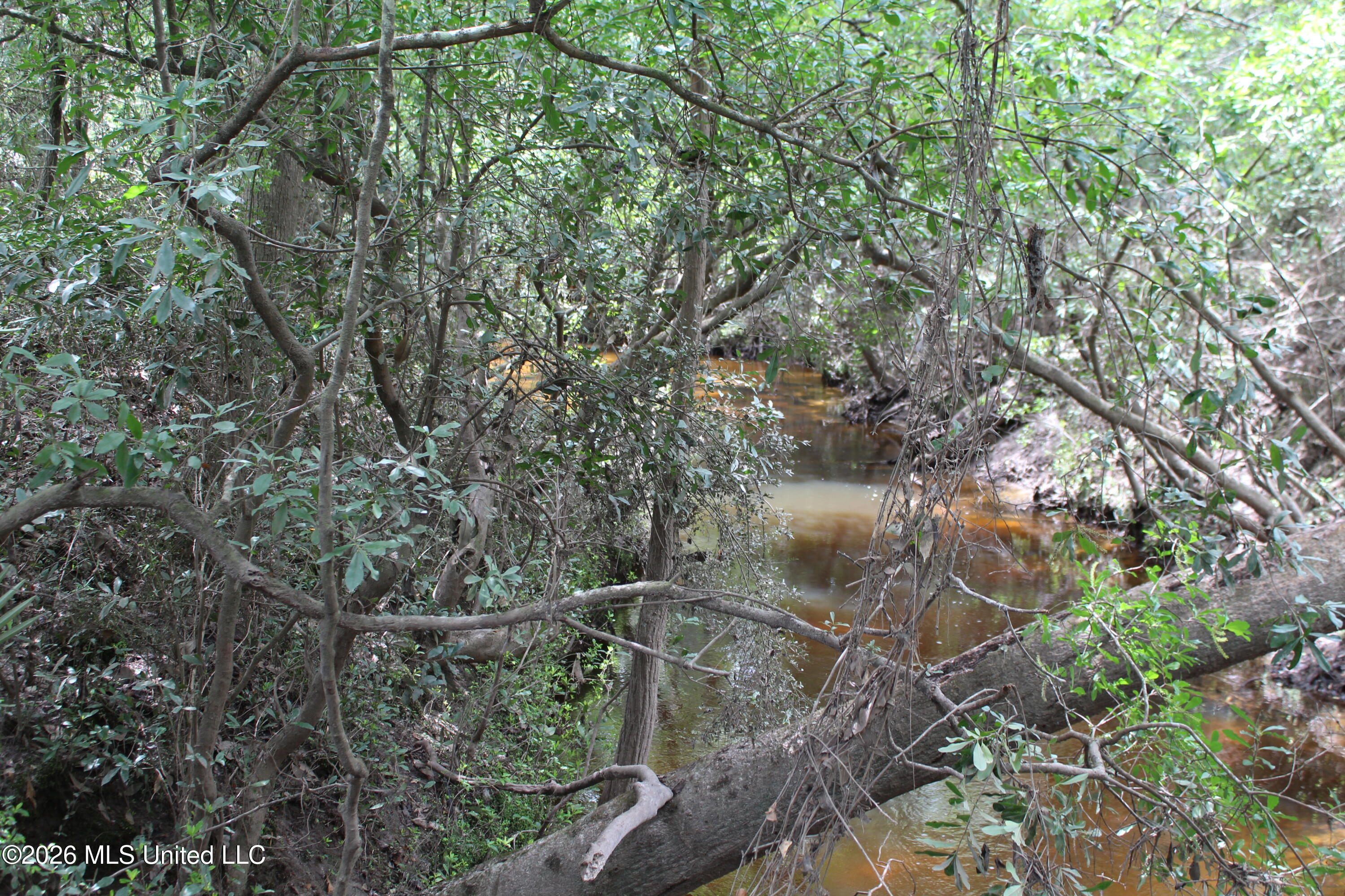 Agricola Latonia Road Property Photo 20