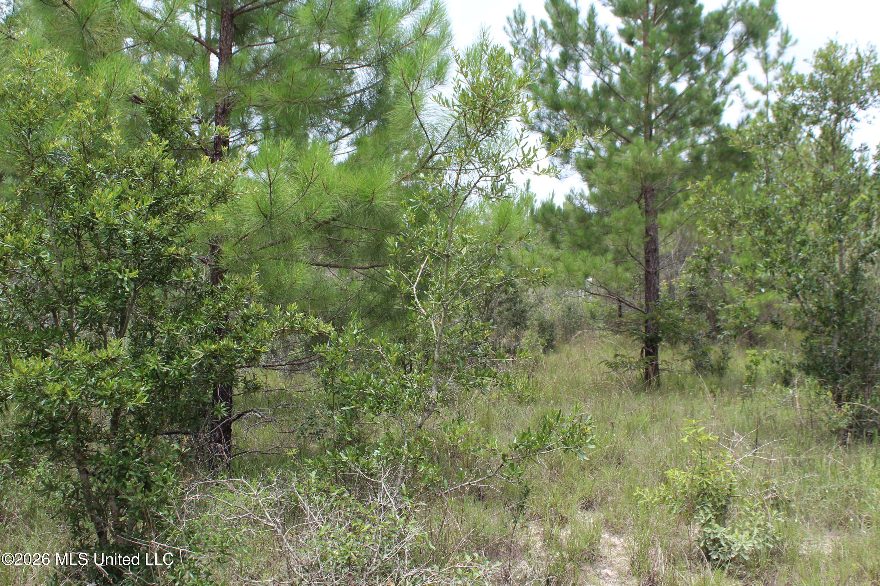 Agricola Latonia Road Property Photo 21