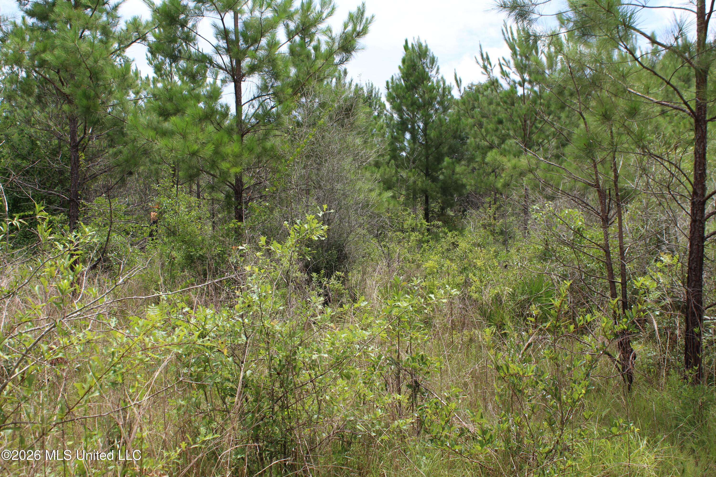 Agricola Latonia Road Property Photo 23