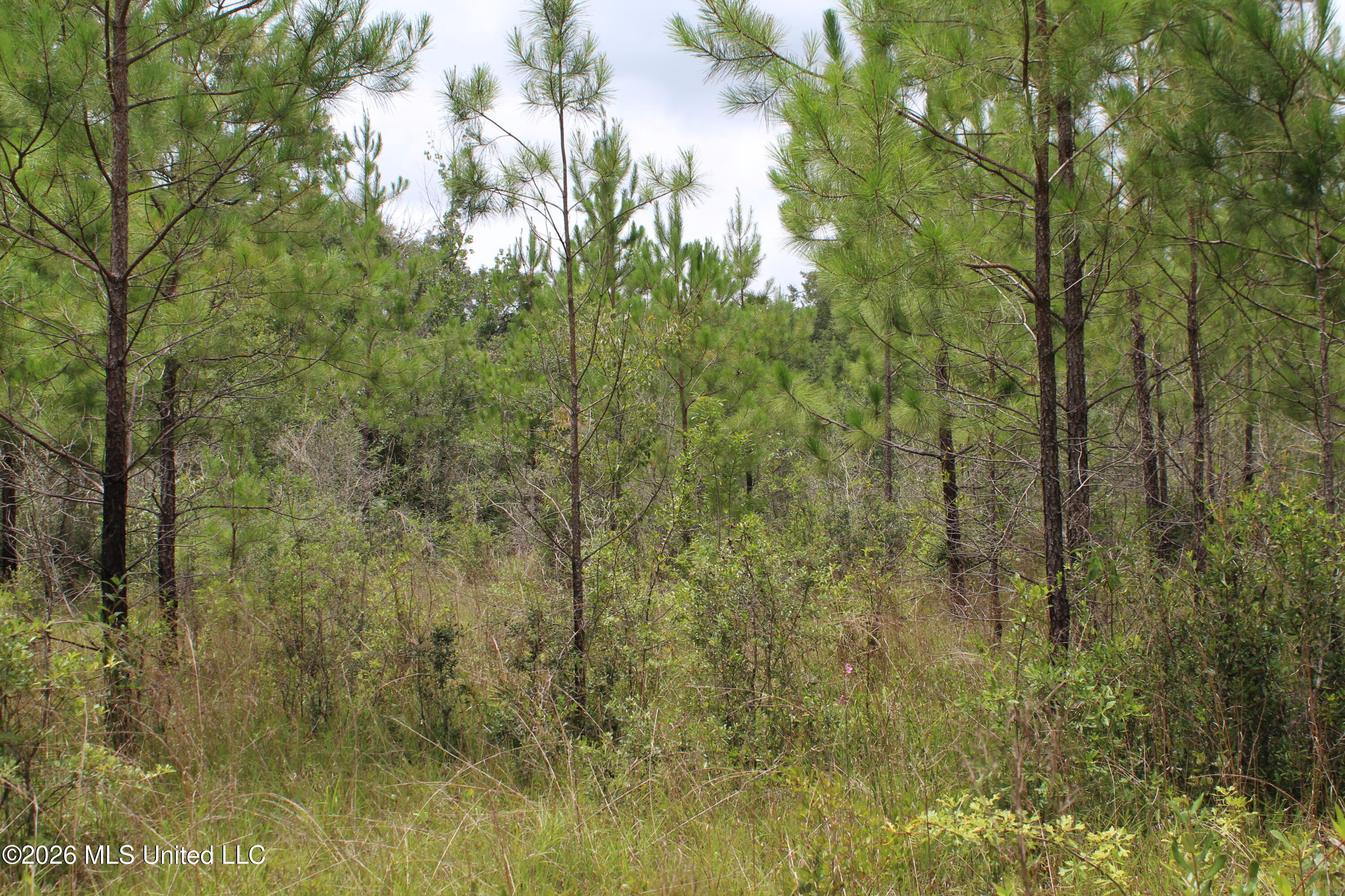 Agricola Latonia Road Property Photo 24