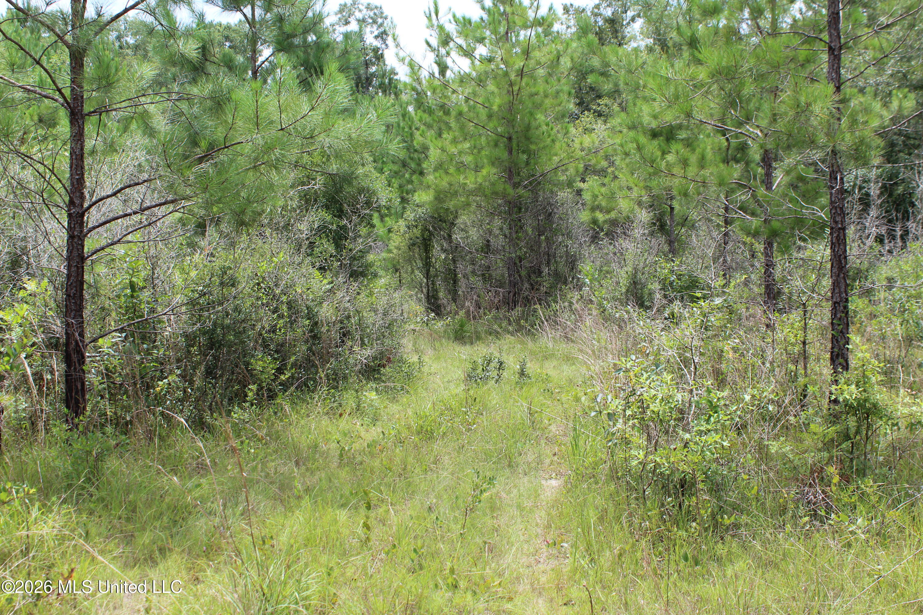 Agricola Latonia Road Property Photo 25