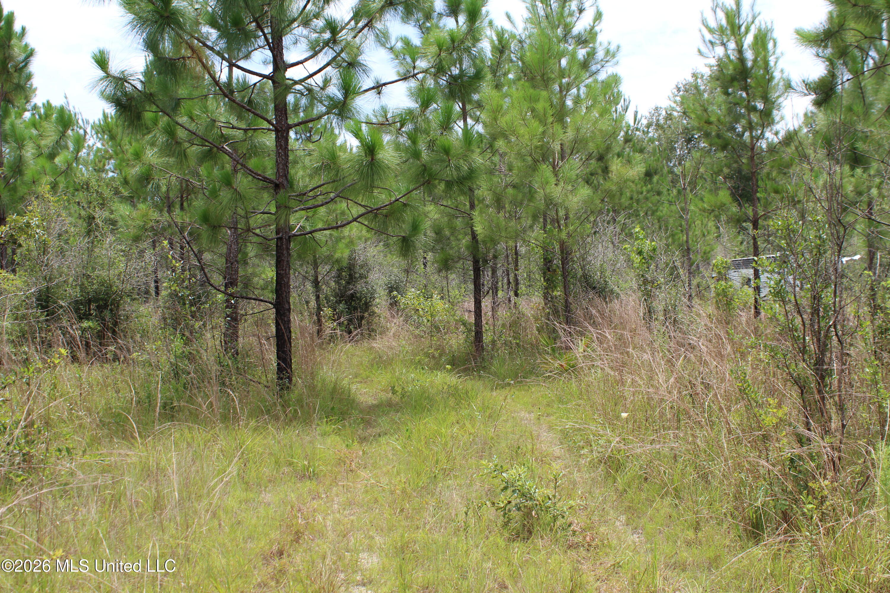 Agricola Latonia Road Property Photo 26