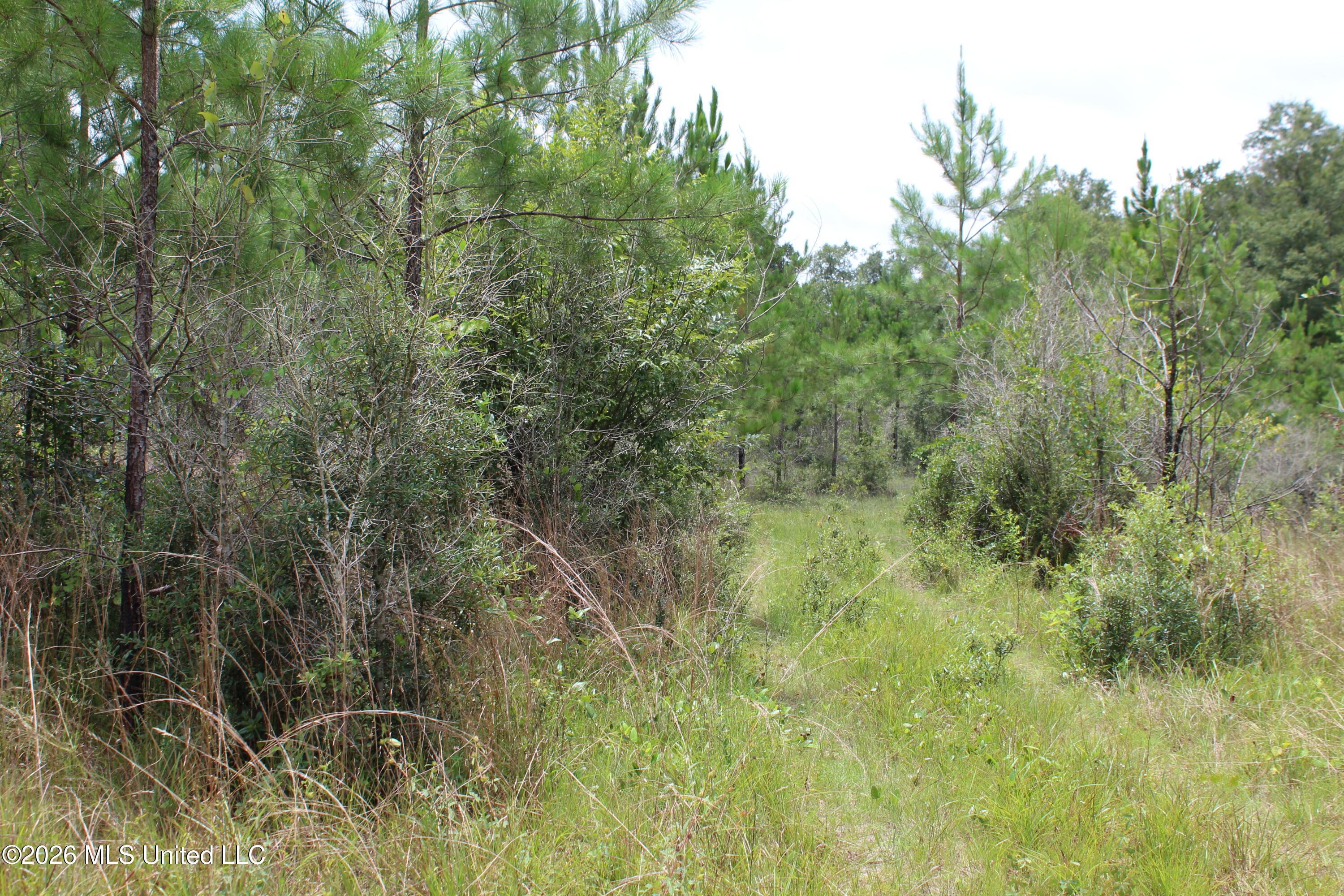 Agricola Latonia Road Property Photo 27