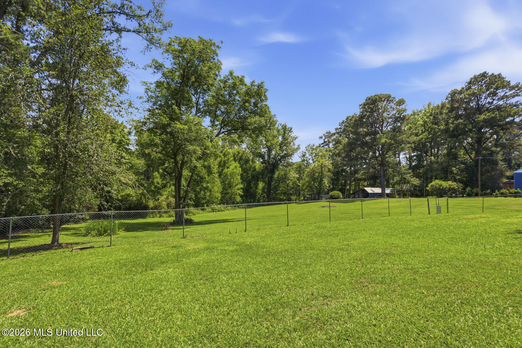 5121 Old Jackson Road Property Photo 32