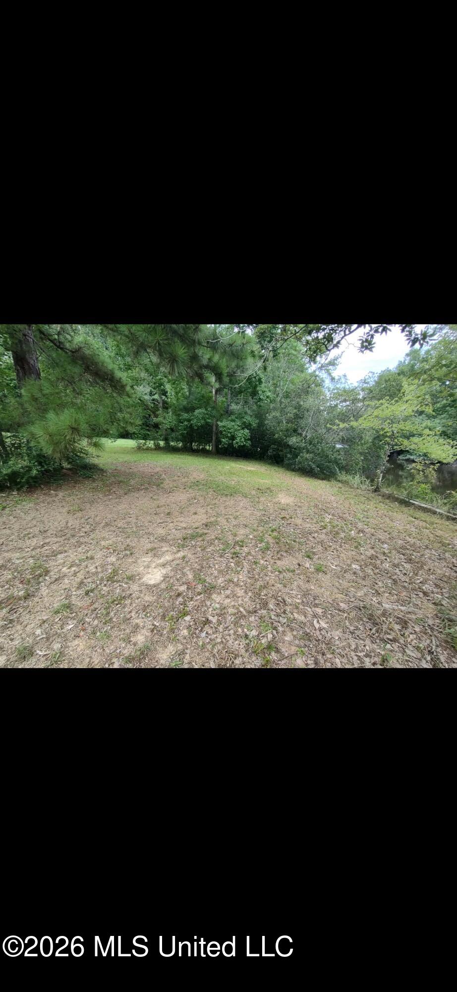 947 W Lakeshore Drive Property Photo 2