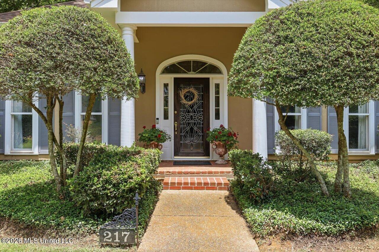 217 Oak Hollow Drive Property Photo 2