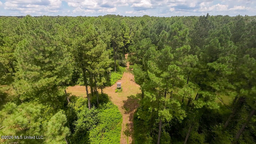 1026 Mt Olive Road Property Photo 2