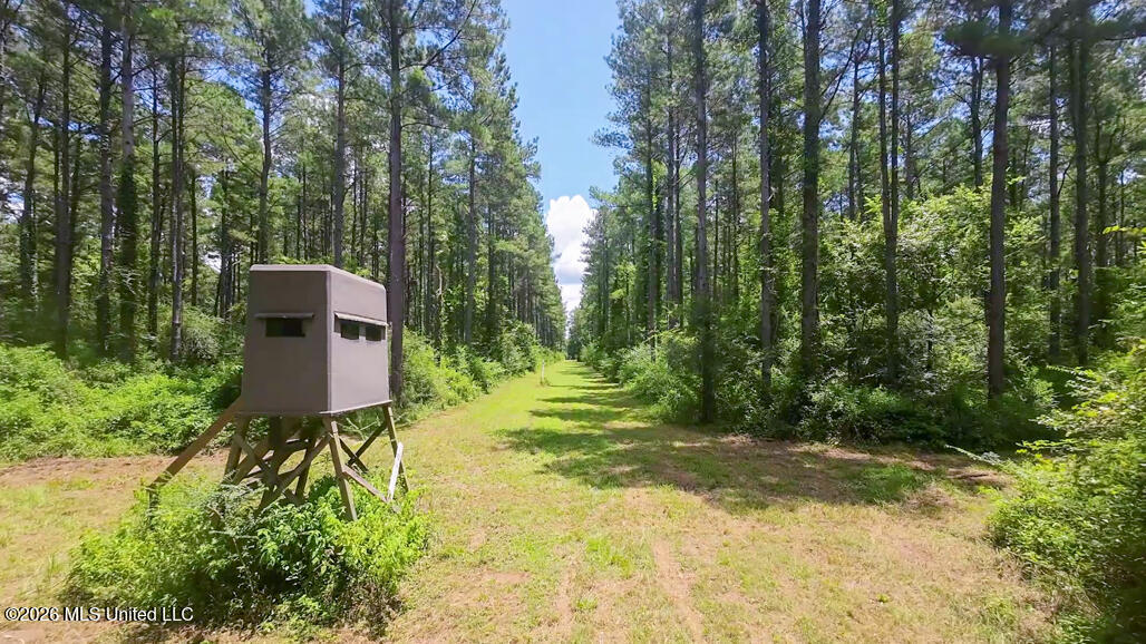 1026 Mt Olive Road Property Photo 3
