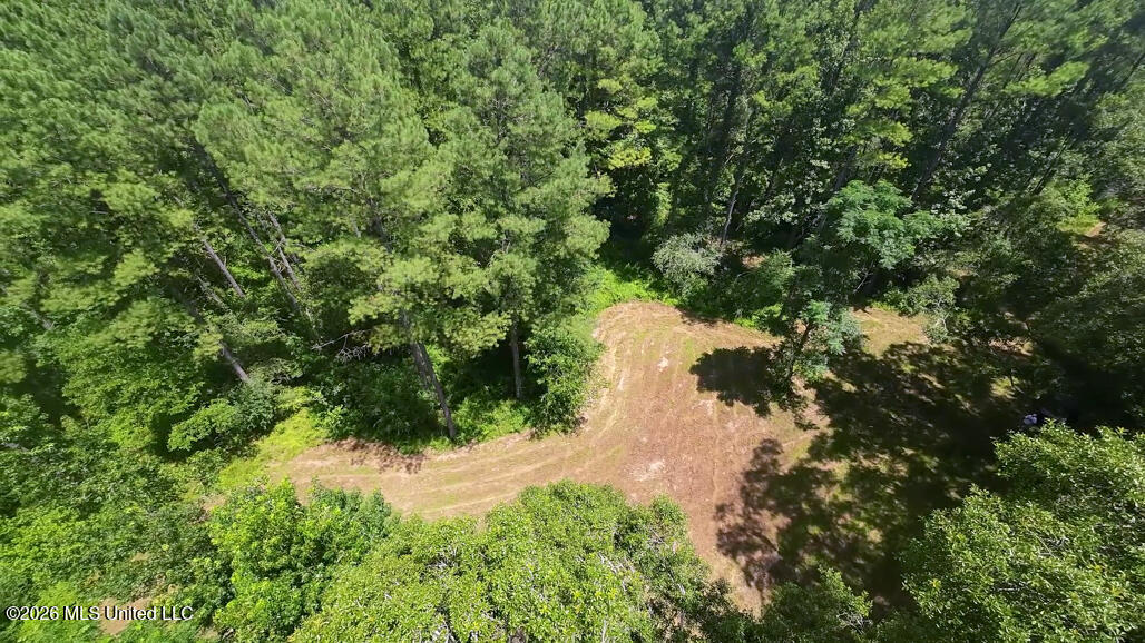 1026 Mt Olive Road Property Photo 11