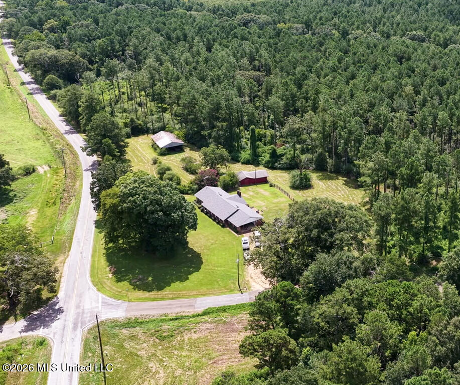 1026 Mt Olive Road Property Photo 18