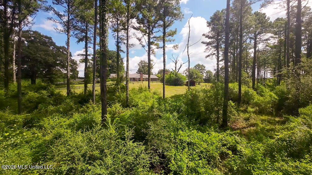 1026 Mt Olive Road Property Photo 41