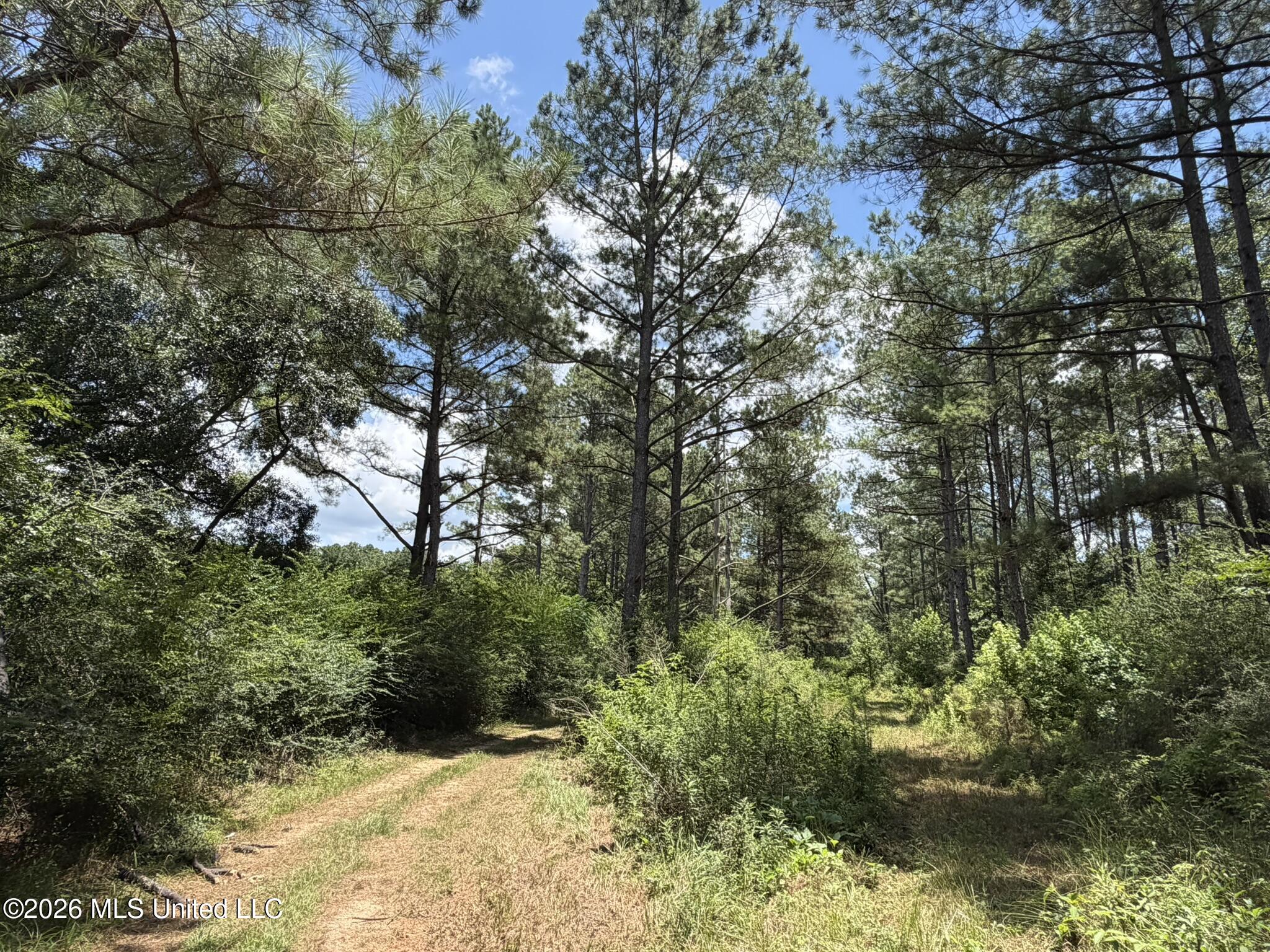 1026 Mt Olive Road Property Photo 42