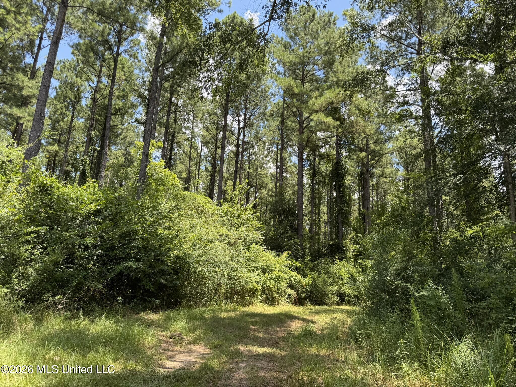 1026 Mt Olive Road Property Photo 43