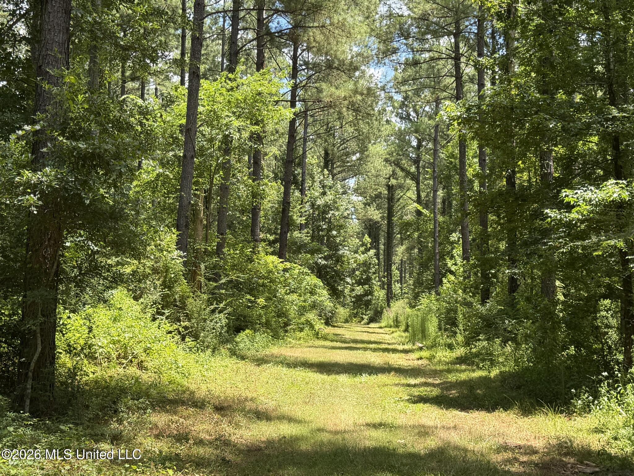 1026 Mt Olive Road Property Photo 45
