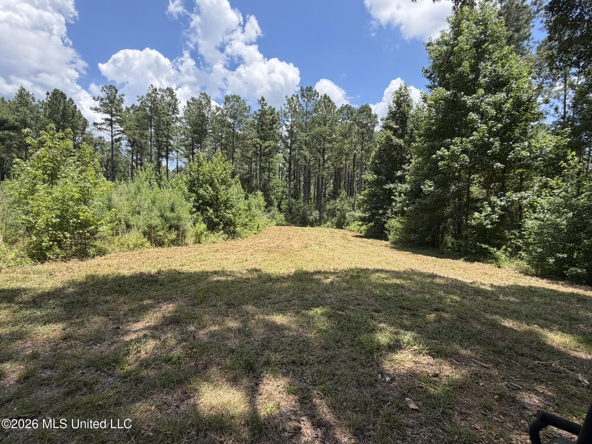 1026 Mt Olive Road Property Photo 46