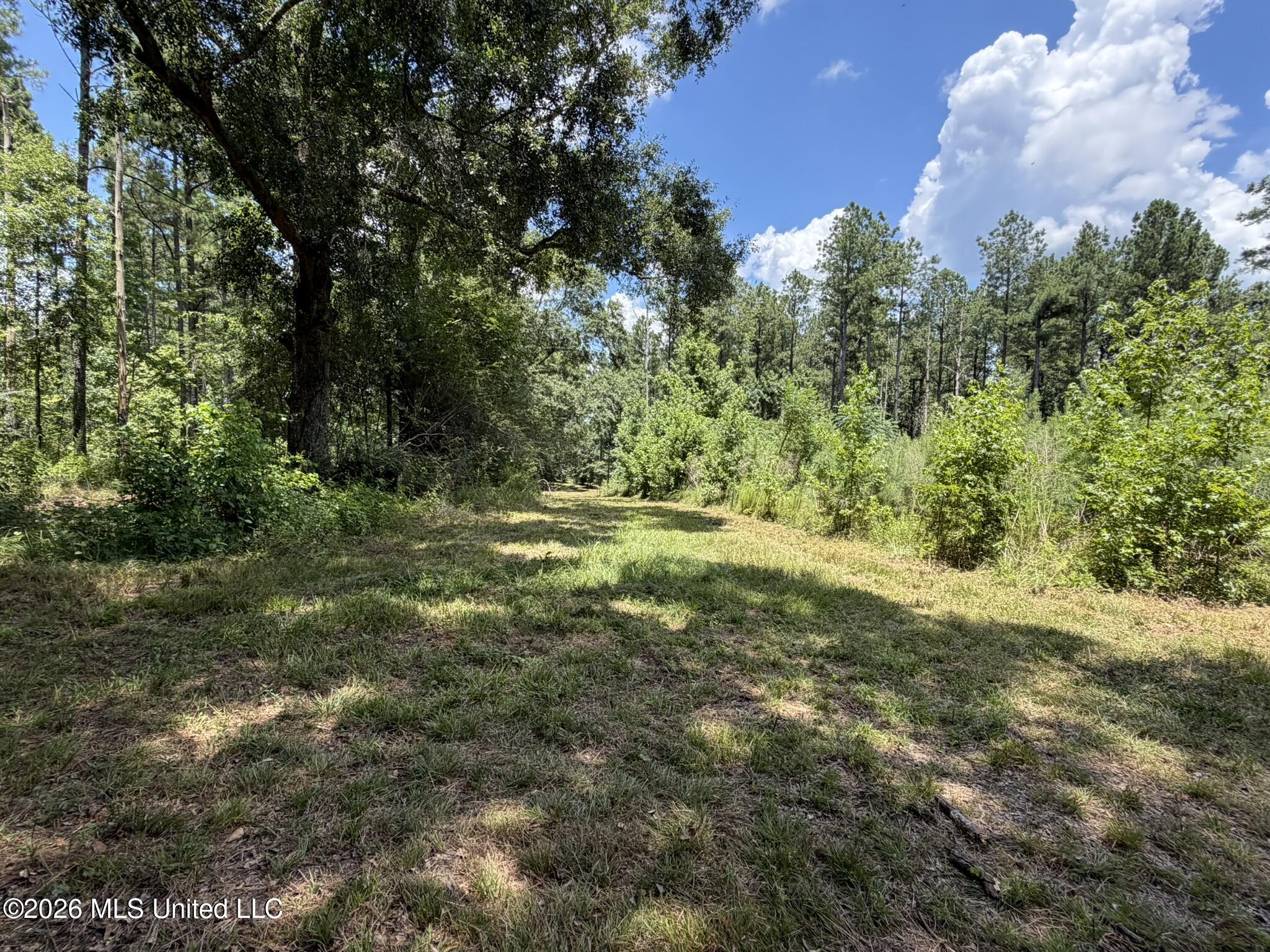1026 Mt Olive Road Property Photo 47