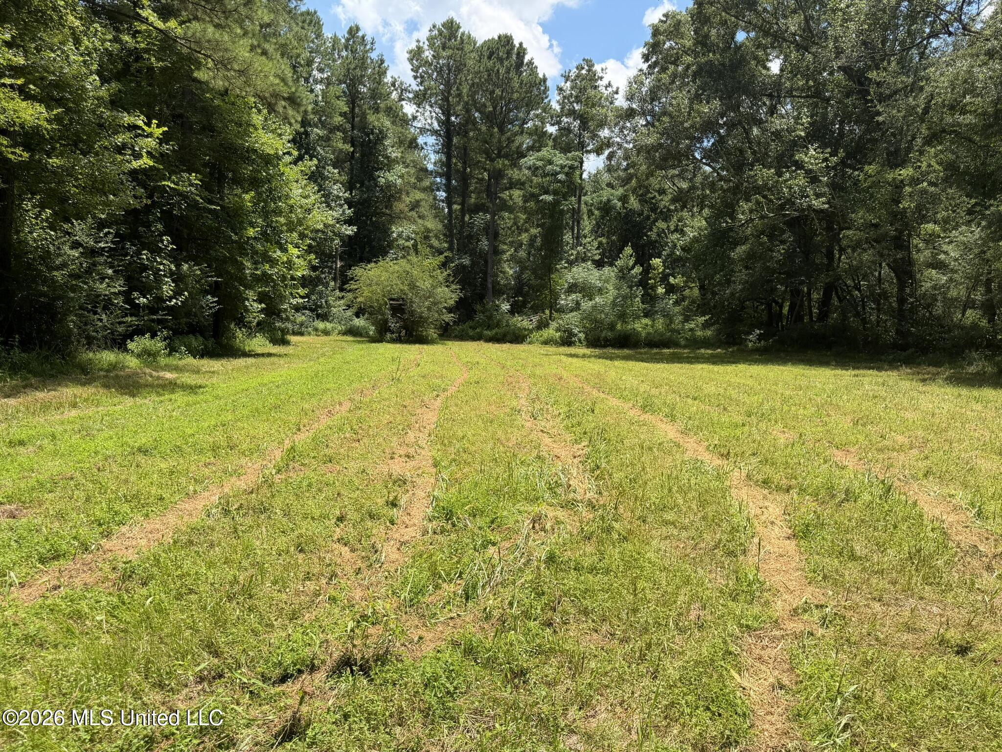 1026 Mt Olive Road Property Photo 48