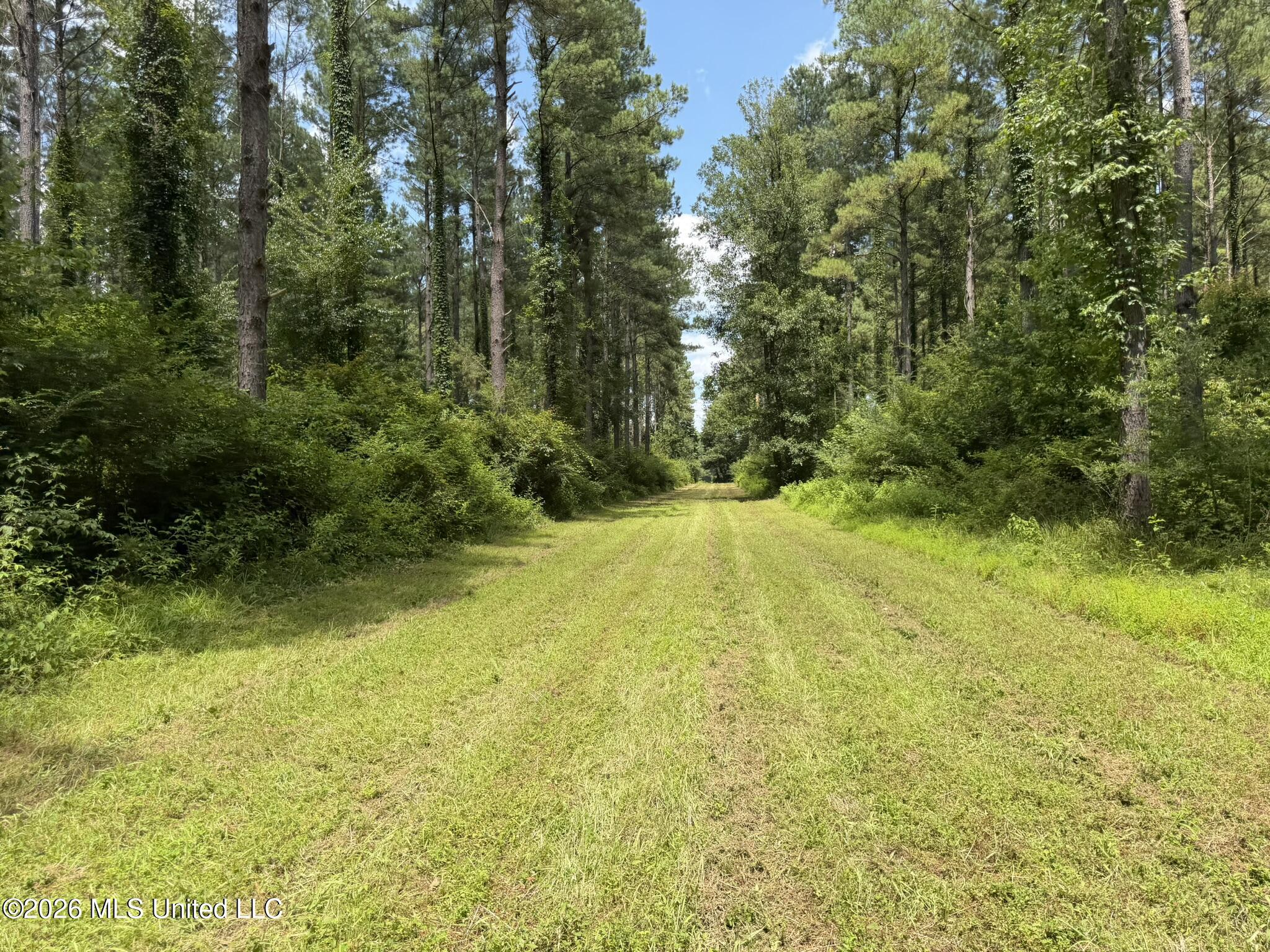 1026 Mt Olive Road Property Photo 49