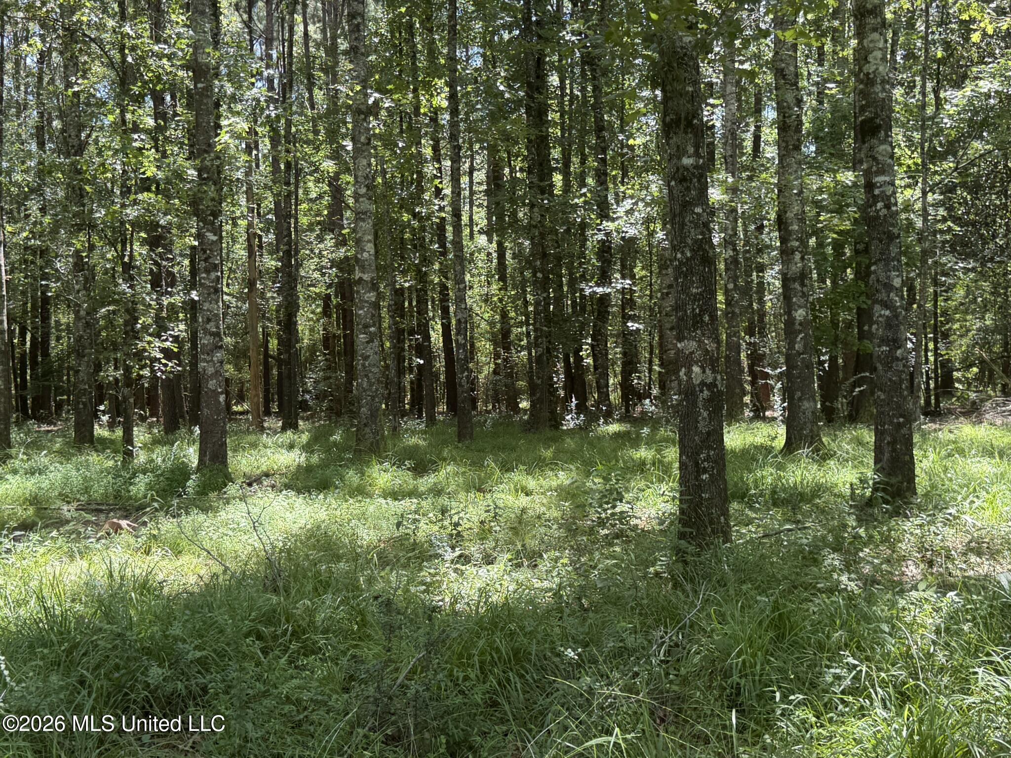 1026 Mt Olive Road Property Photo 50