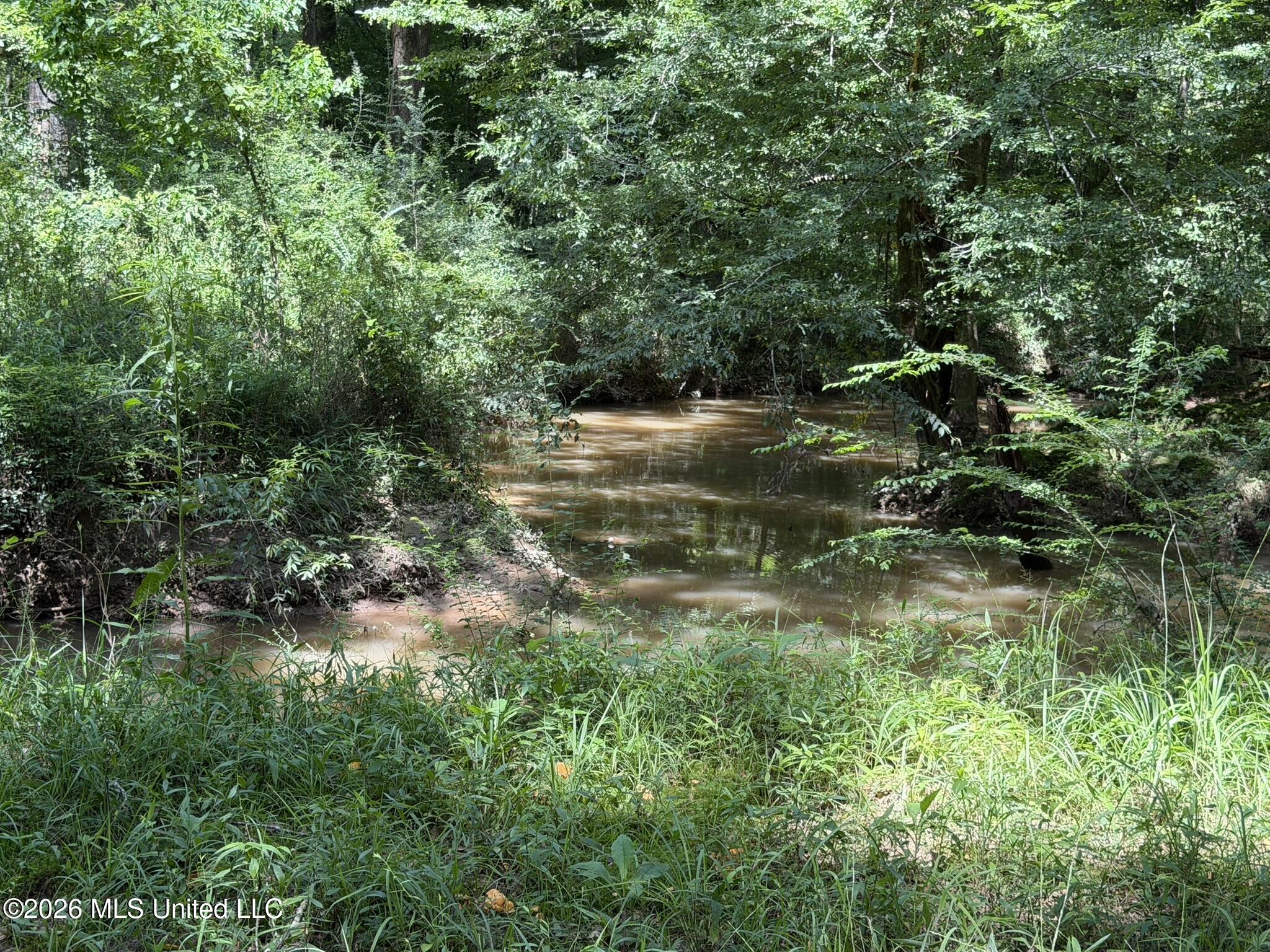 1026 Mt Olive Road Property Photo 51