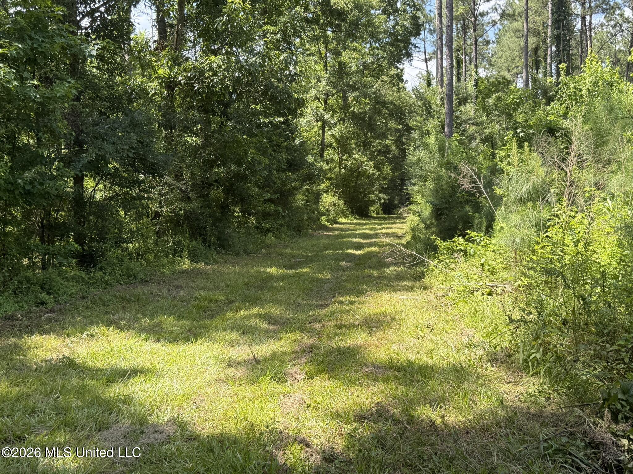 1026 Mt Olive Road Property Photo 54