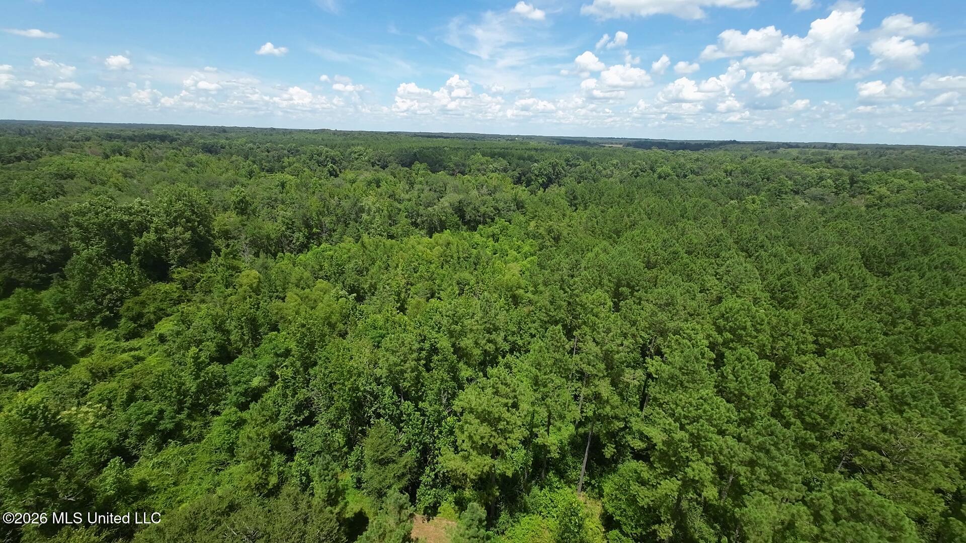 1026 Mt Olive Road Property Photo 62