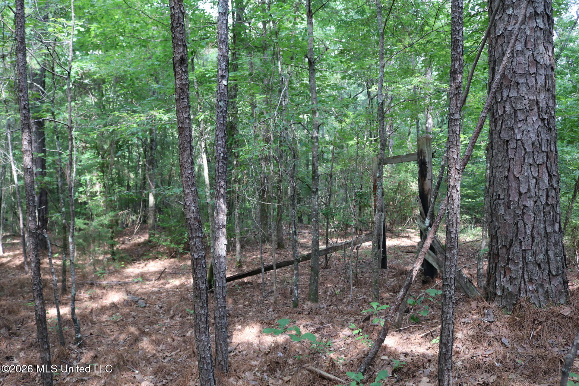 2026 Stump Bridge Road Property Photo 4