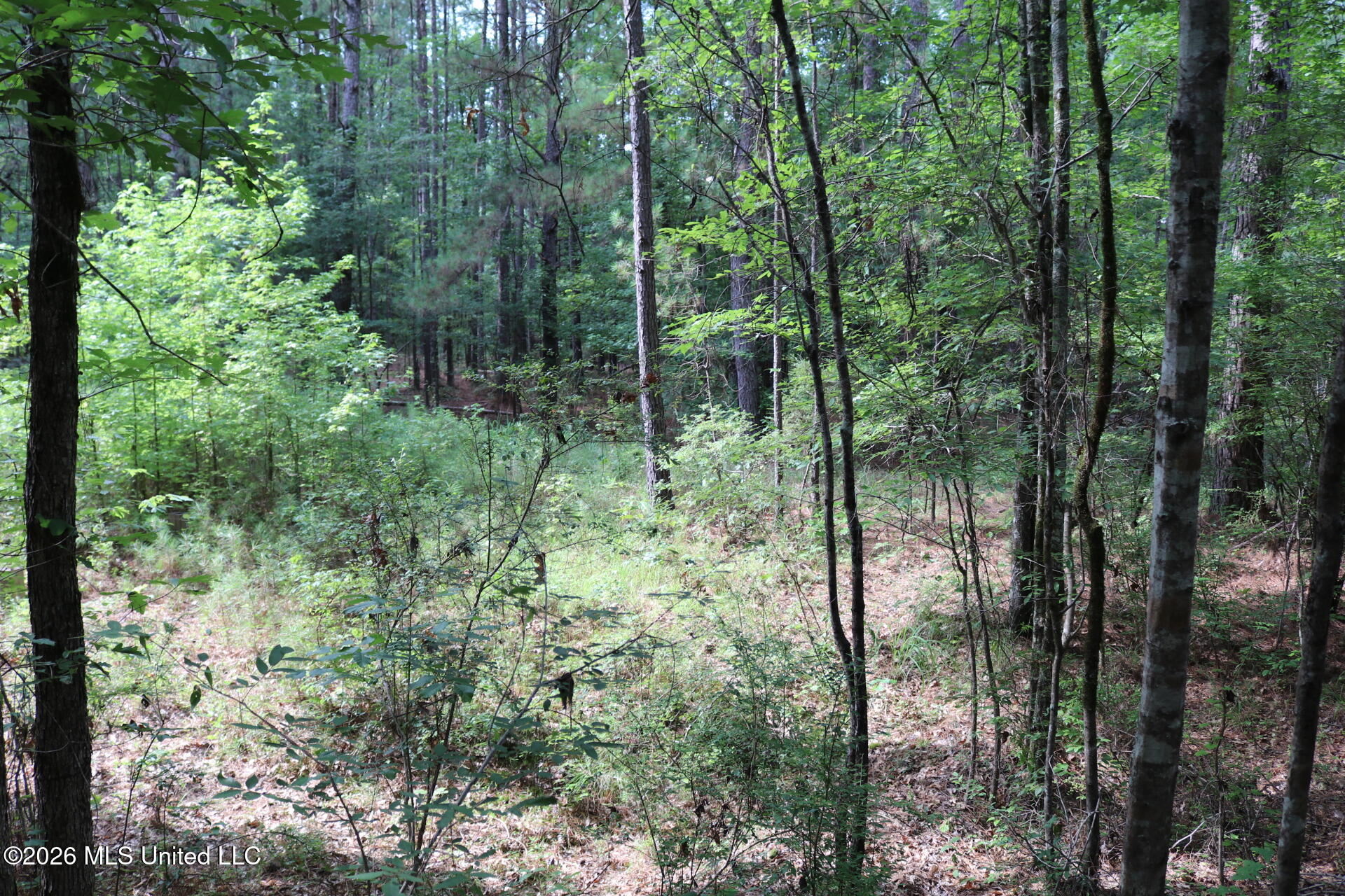 2026 Stump Bridge Road Property Photo 5