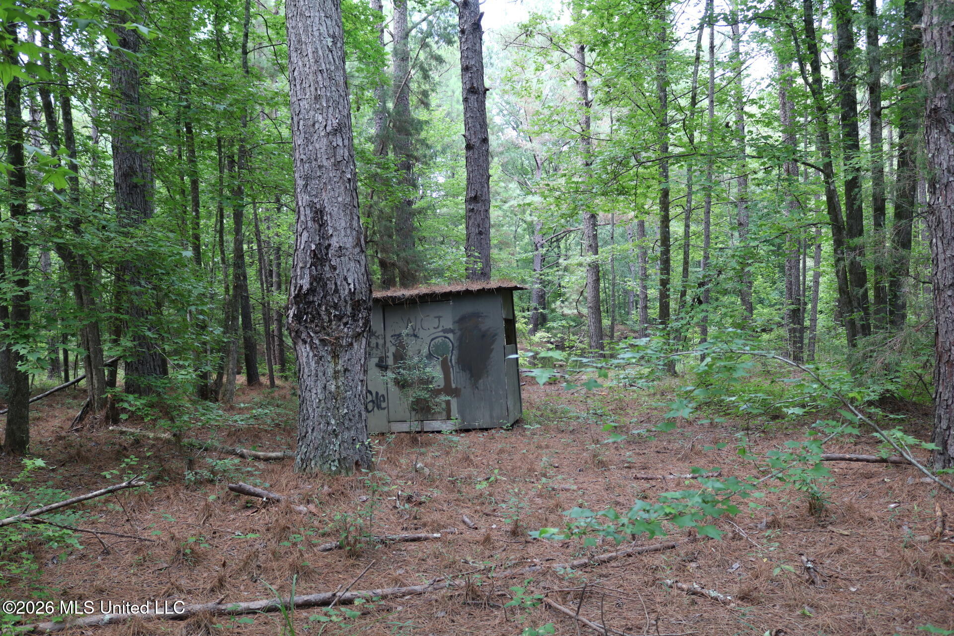 2026 Stump Bridge Road Property Photo 6