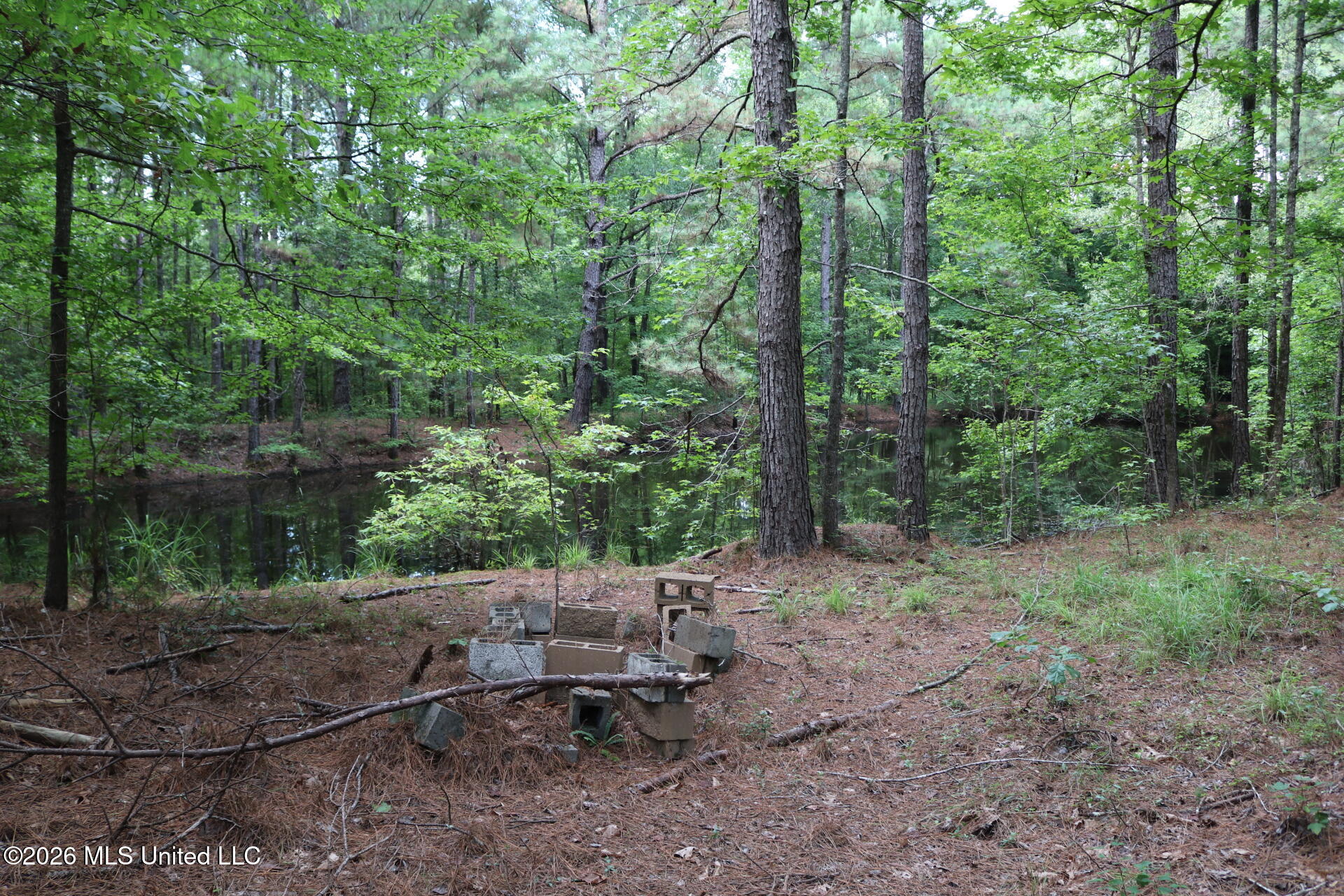2026 Stump Bridge Road Property Photo 7