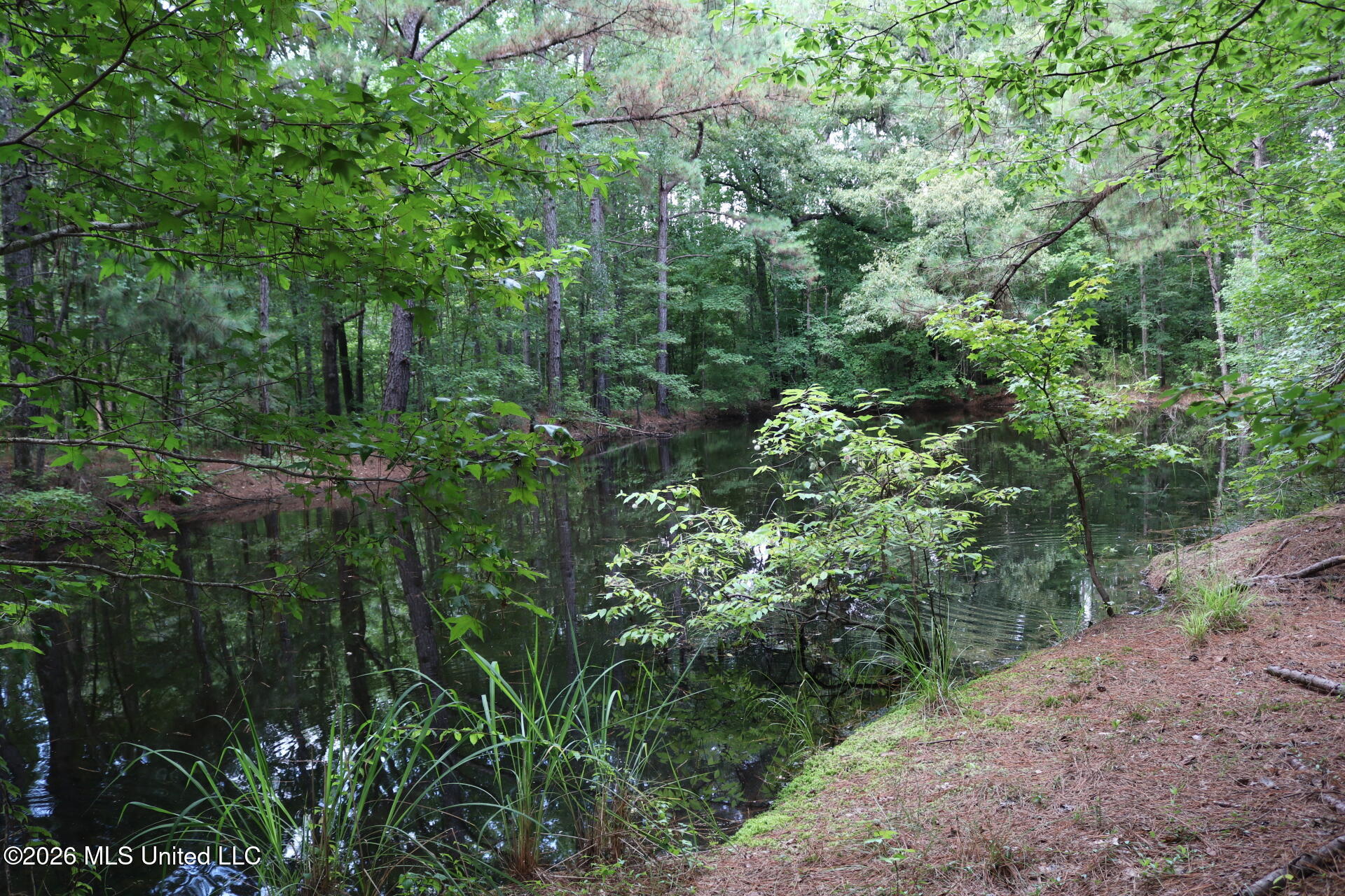 2026 Stump Bridge Road Property Photo 8