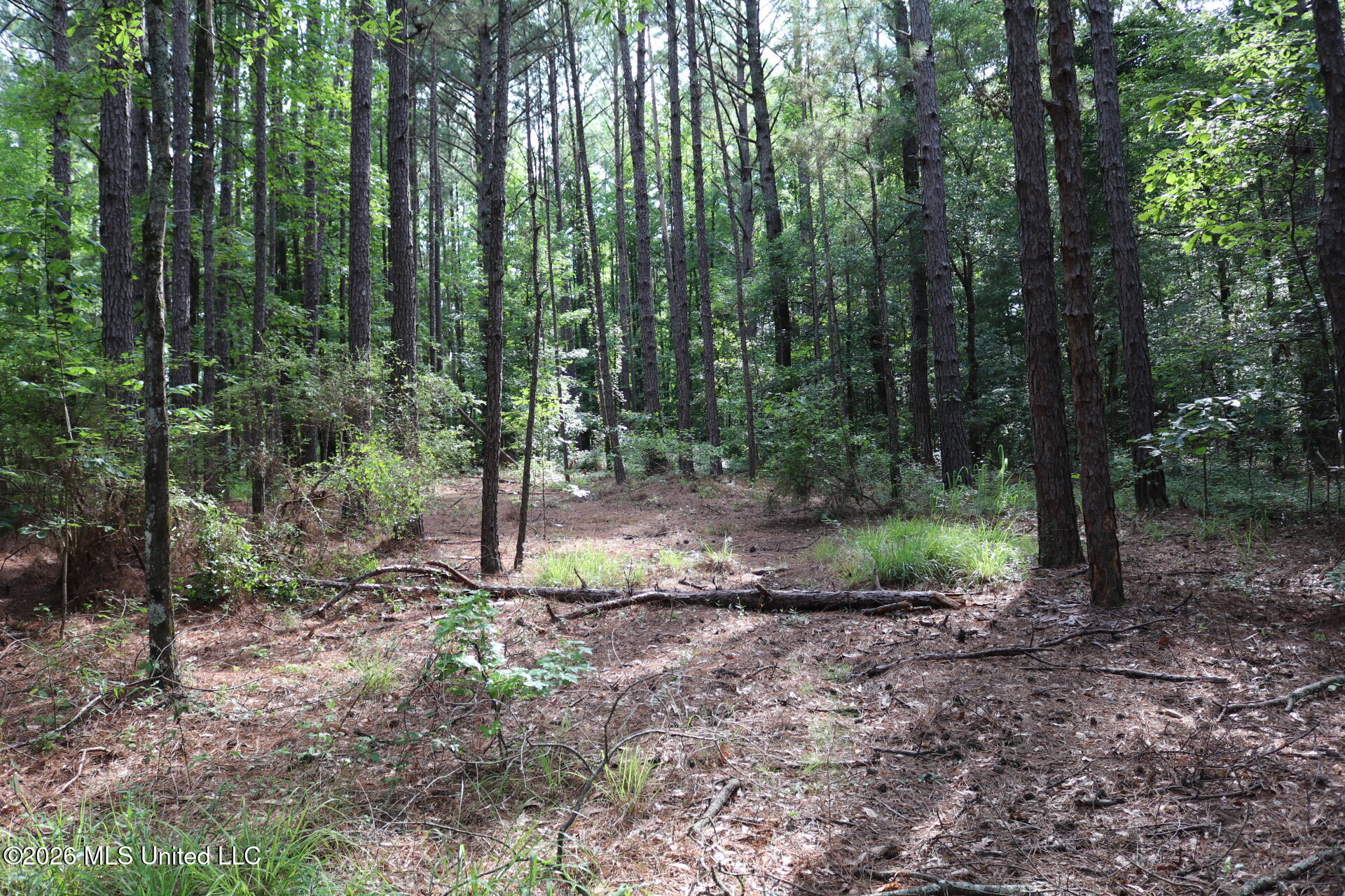 2026 Stump Bridge Road Property Photo 9