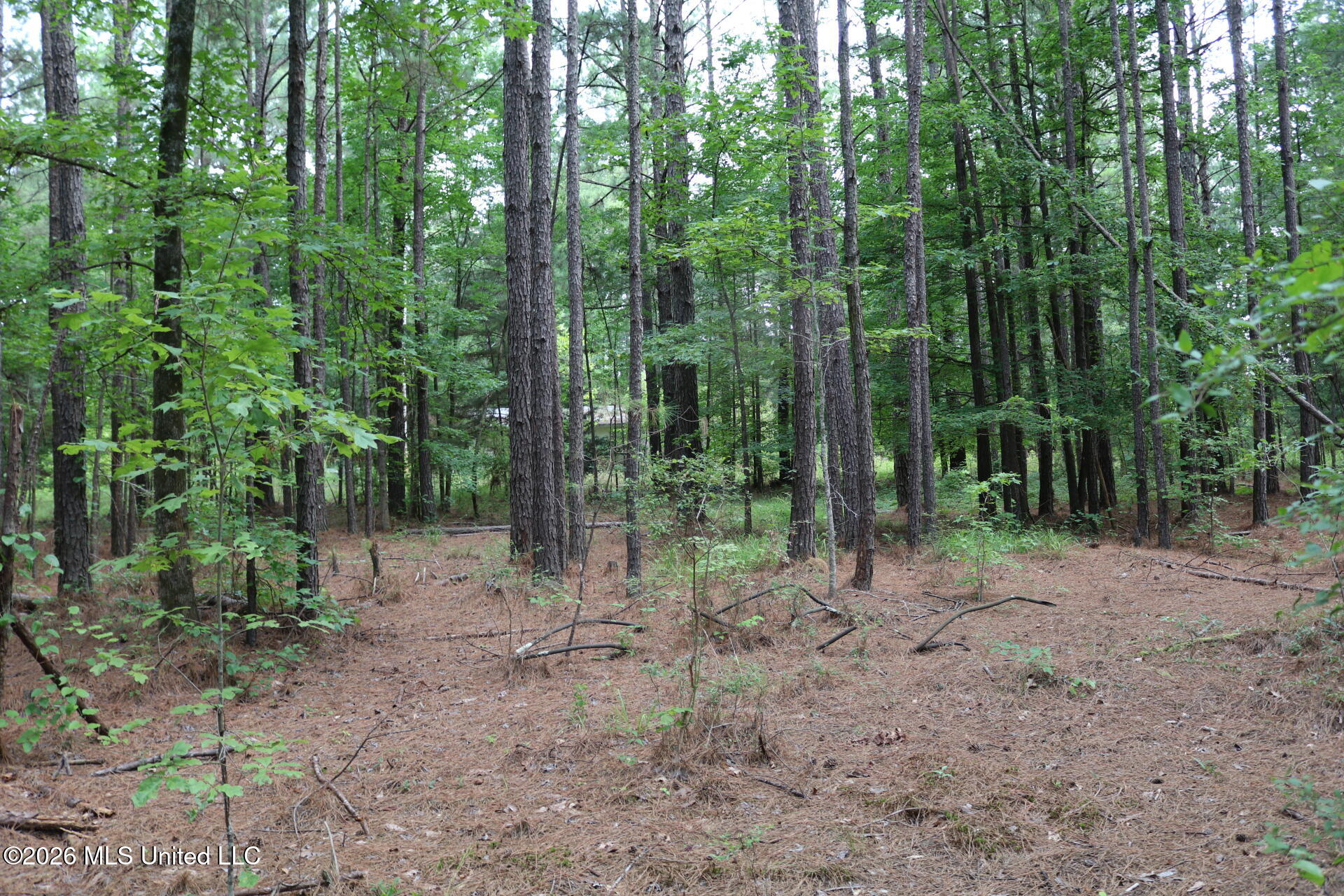 2026 Stump Bridge Road Property Photo 10