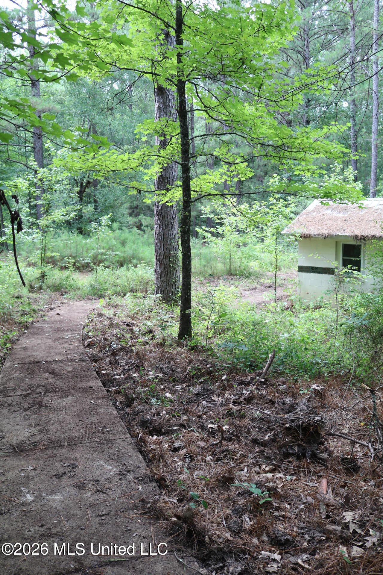 2026 Stump Bridge Road Property Photo 11