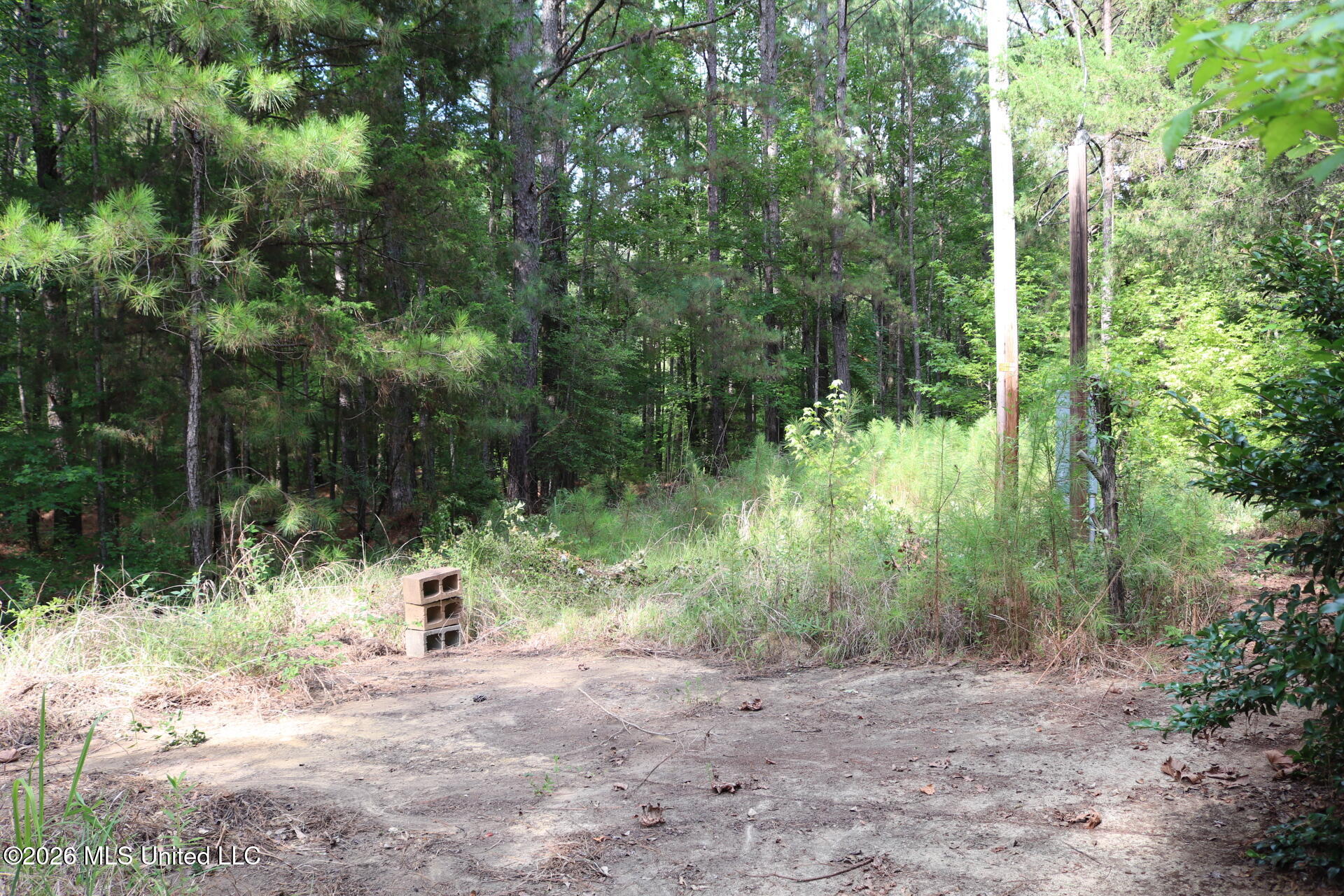 2026 Stump Bridge Road Property Photo 12