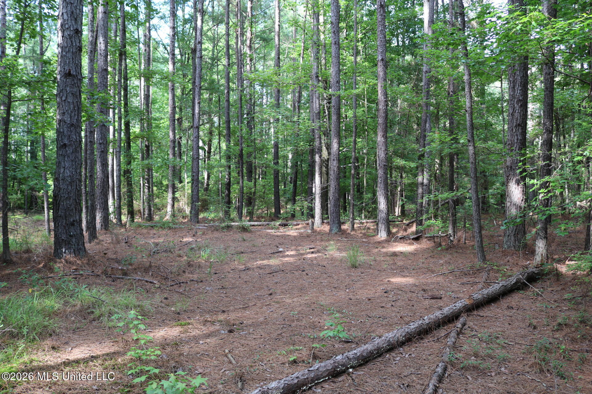 2026 Stump Bridge Road Property Photo 13