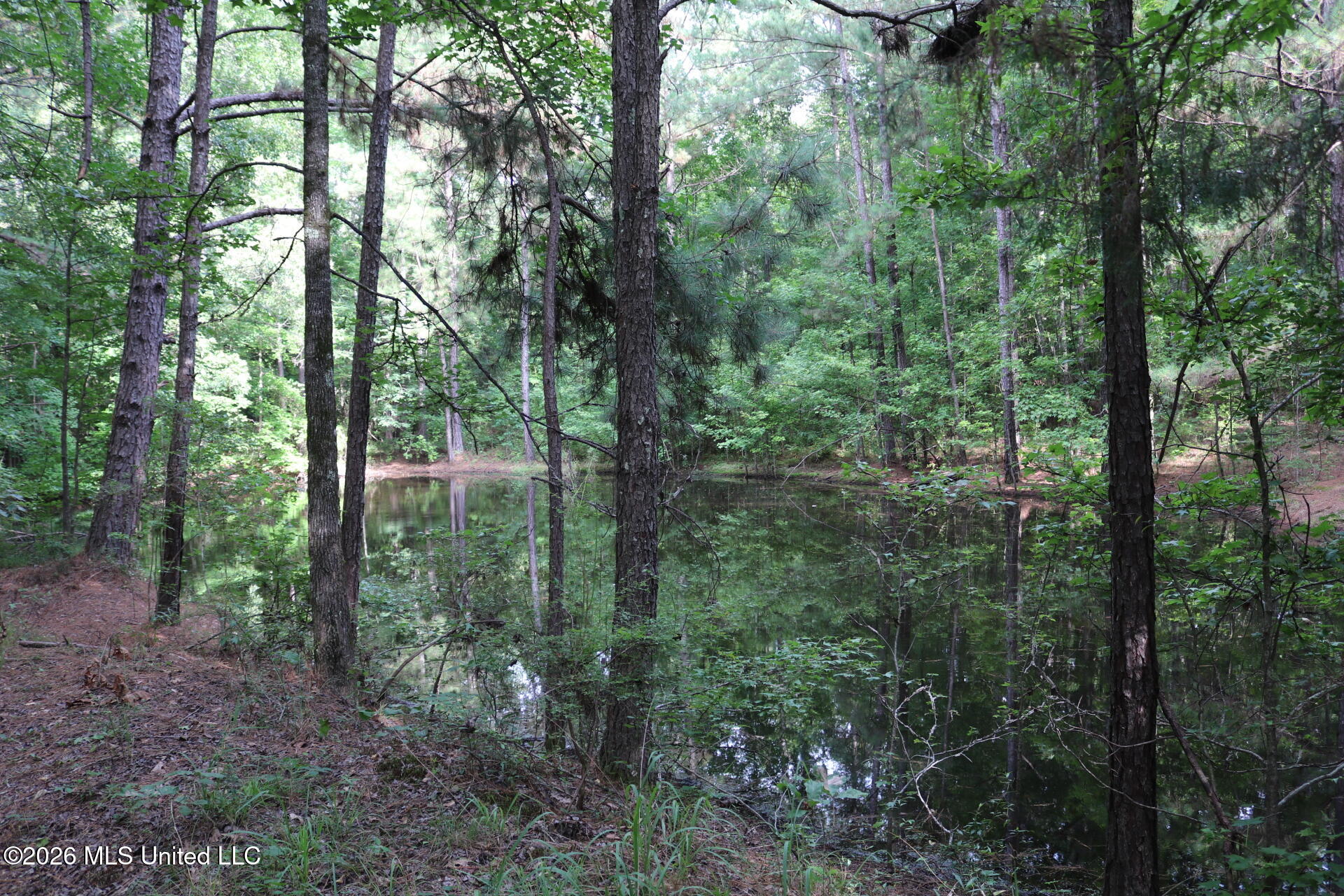 2026 Stump Bridge Road Property Photo 14