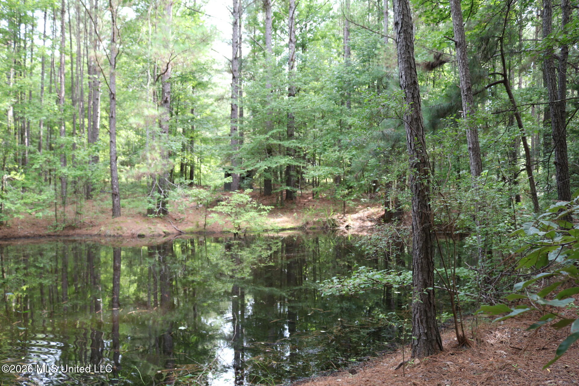 2026 Stump Bridge Road Property Photo 15