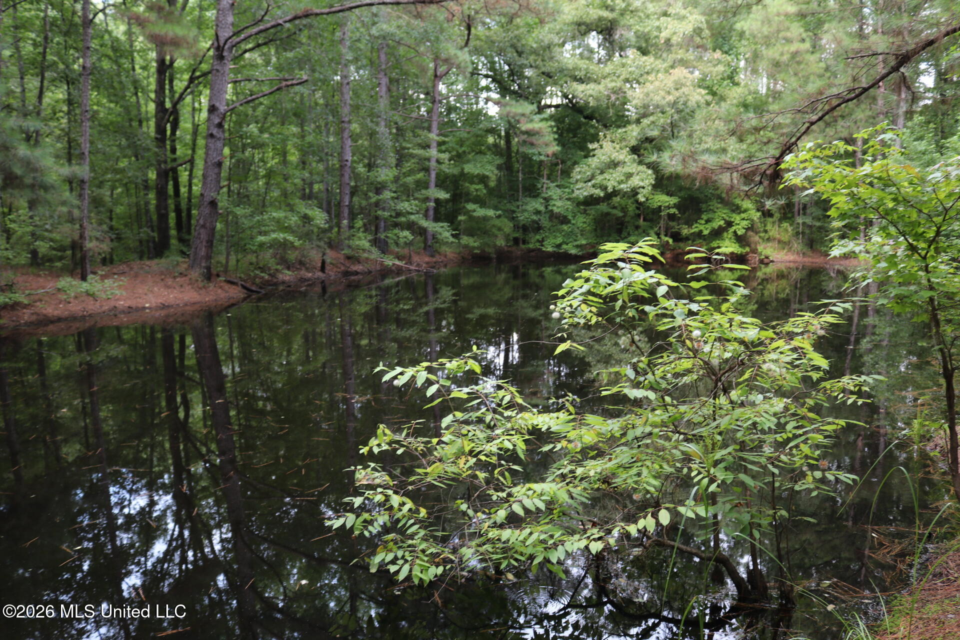 2026 Stump Bridge Road Property Photo 17