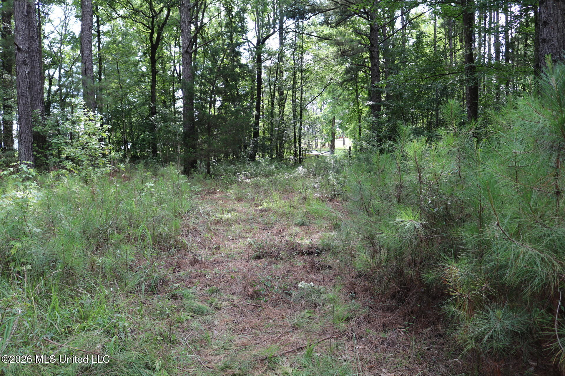 2026 Stump Bridge Road Property Photo 18