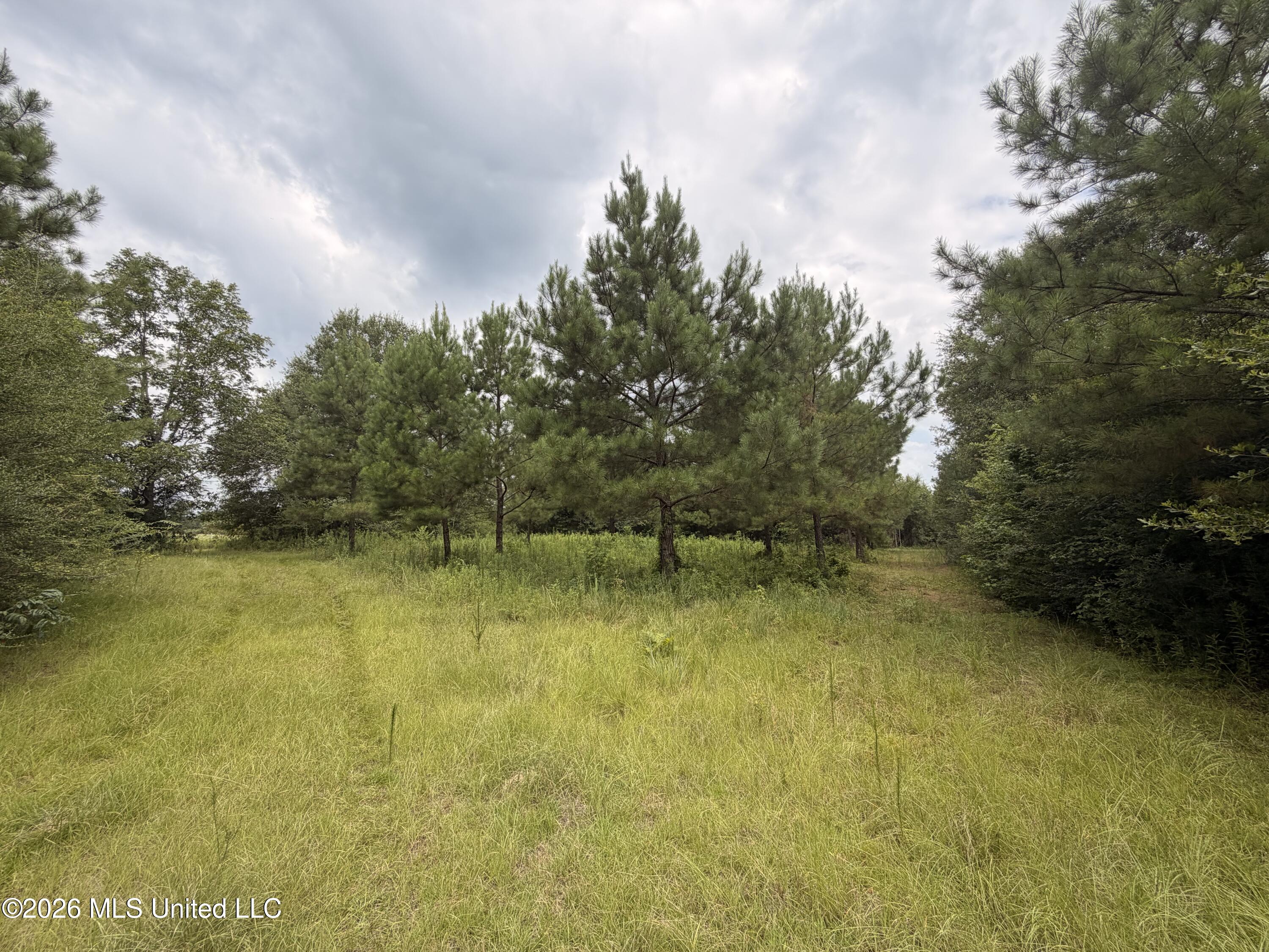 0 Beartown Road Property Photo 1