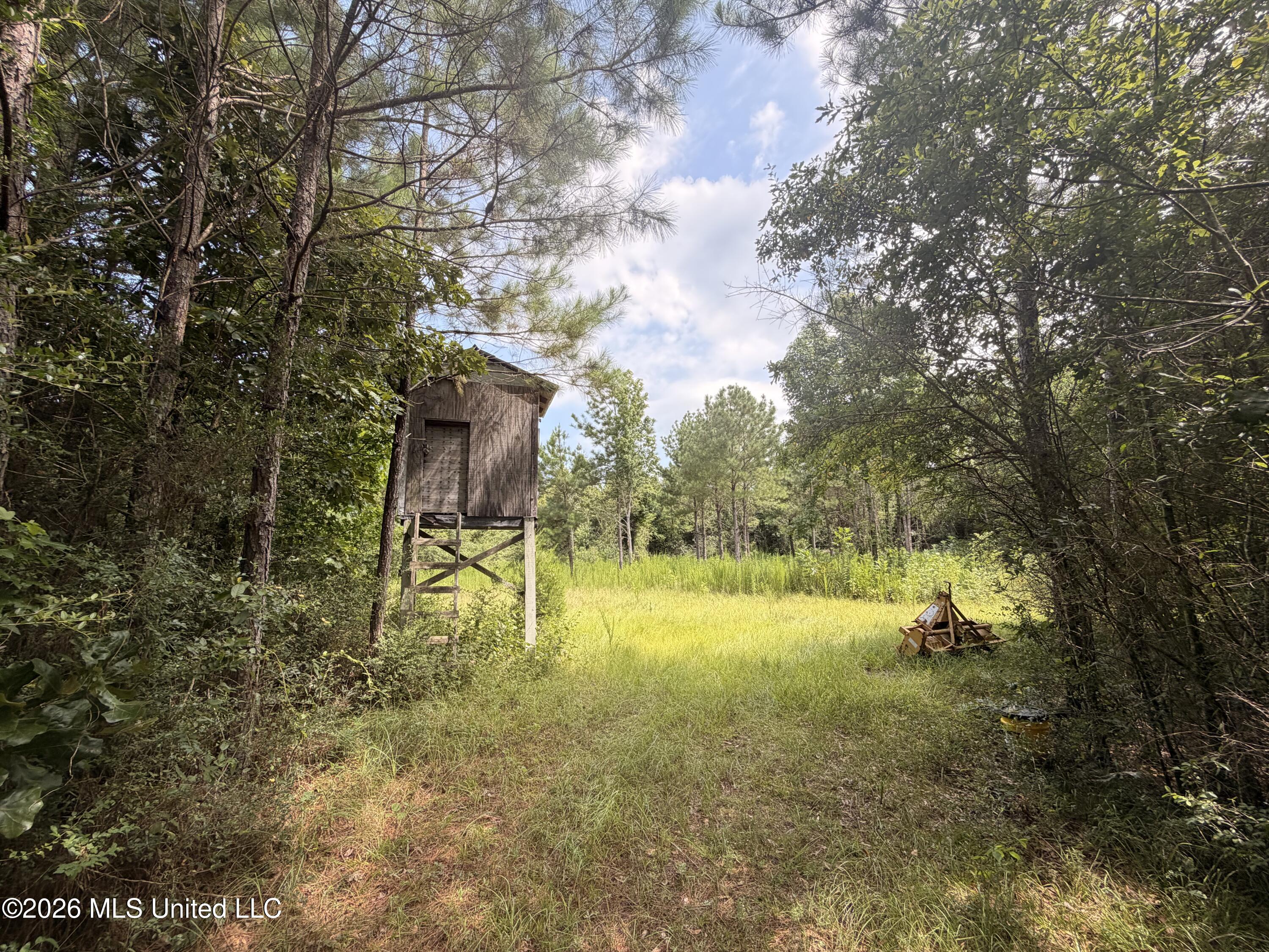 0 Beartown Road Property Photo 2