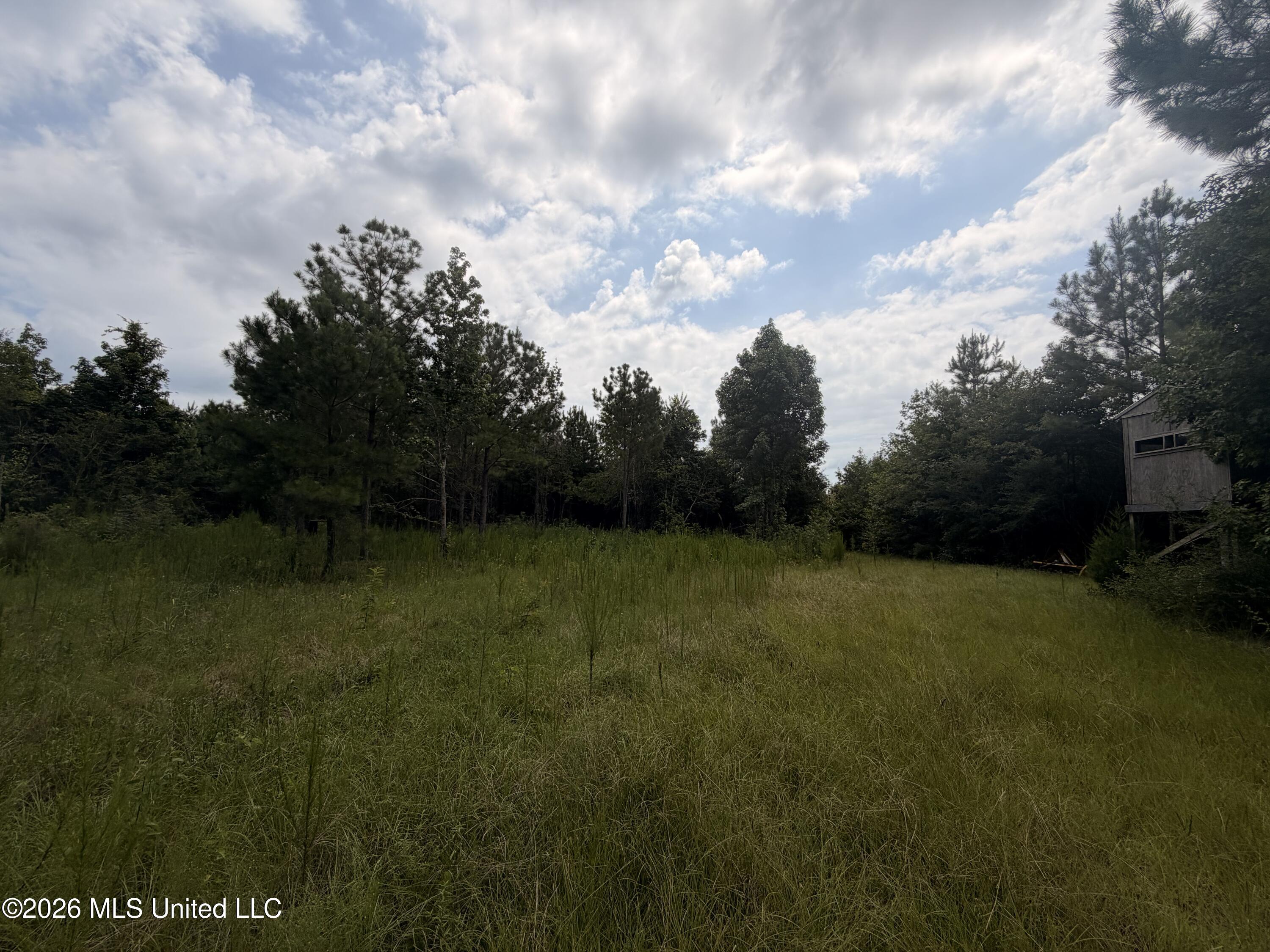 0 Beartown Road Property Photo 3