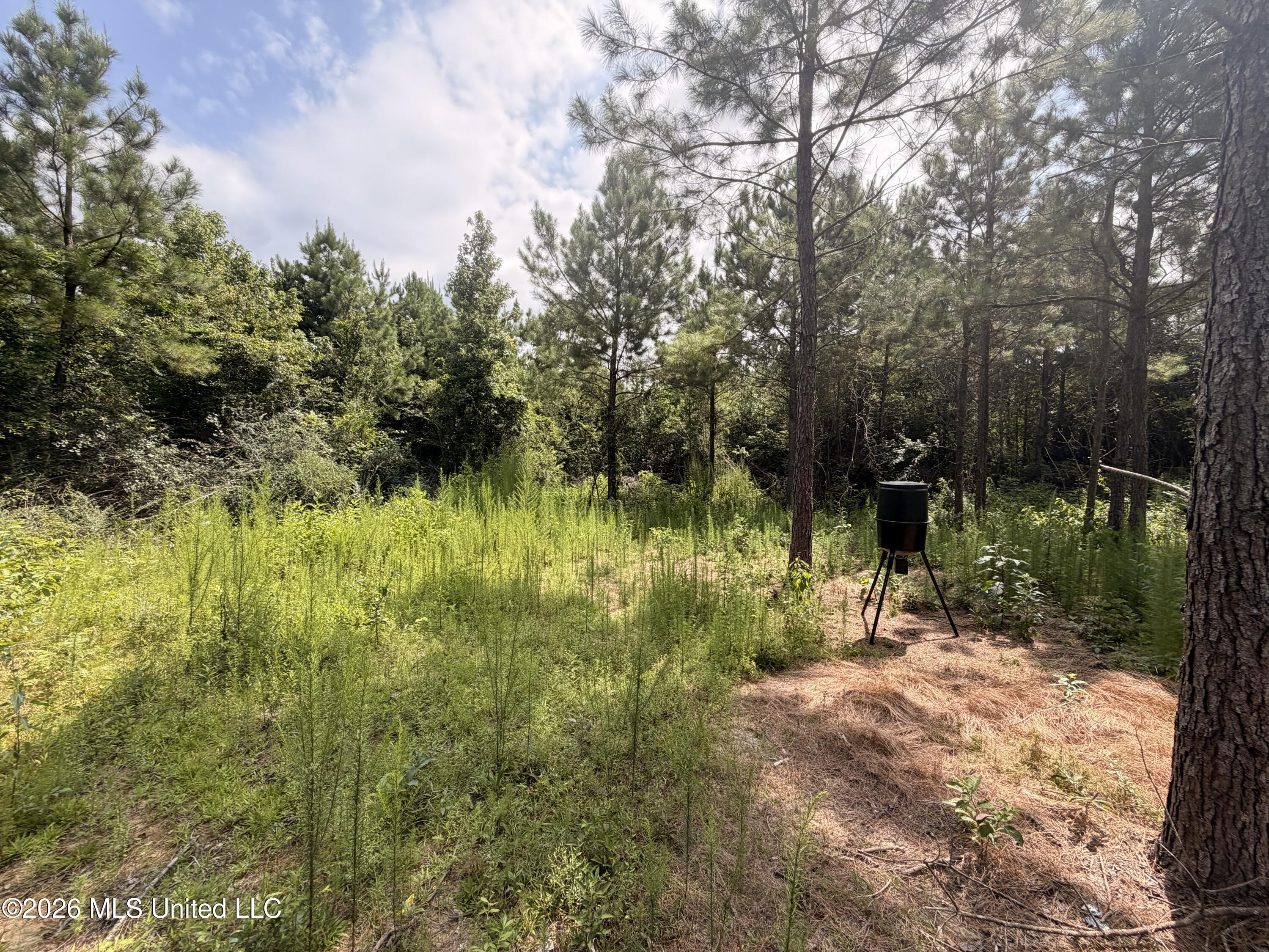 0 Beartown Road Property Photo 4