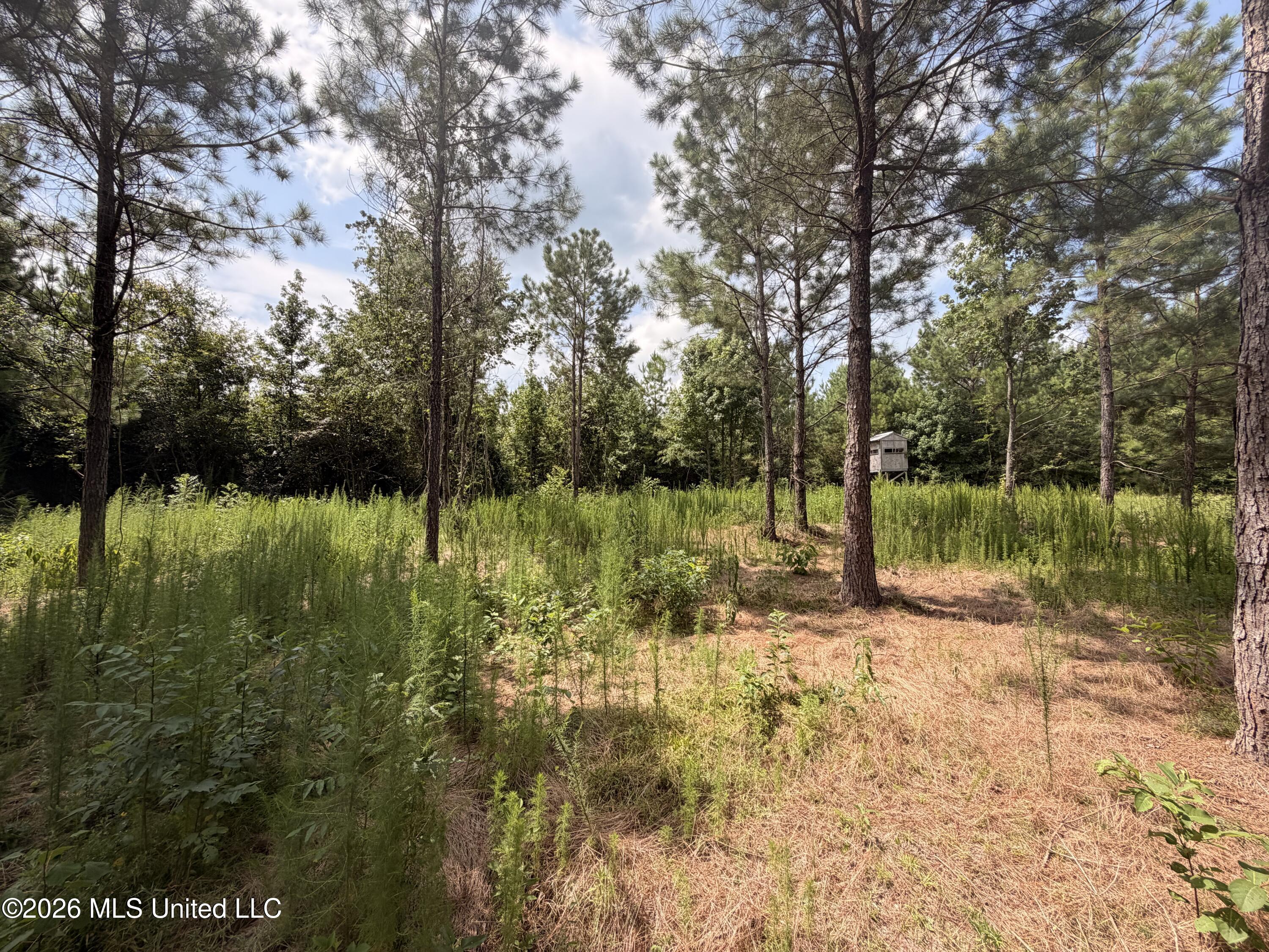 0 Beartown Road Property Photo 5